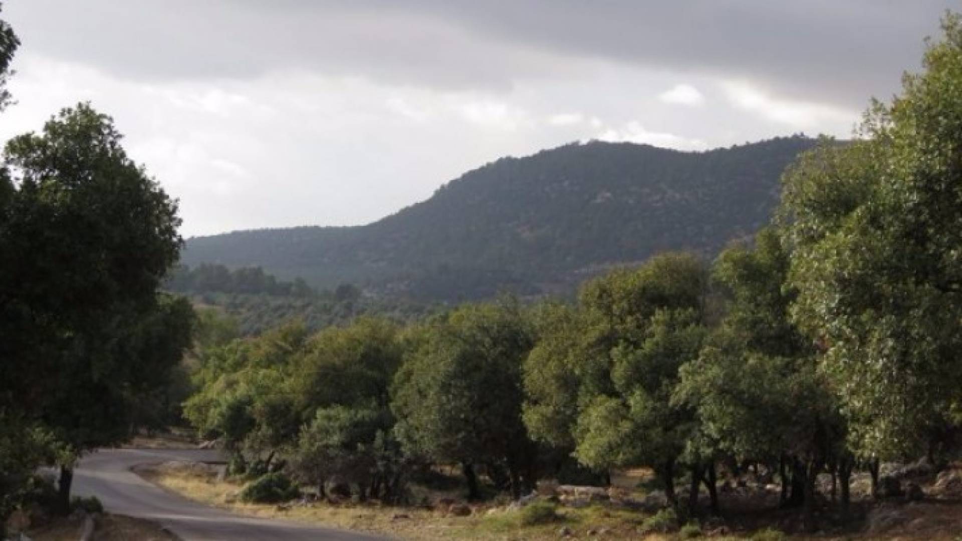 الصورة أرشيفية 