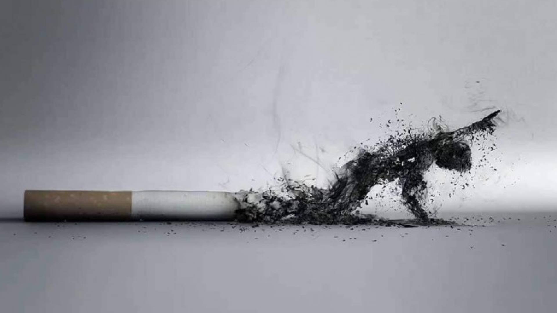 الصورة تعبيرية