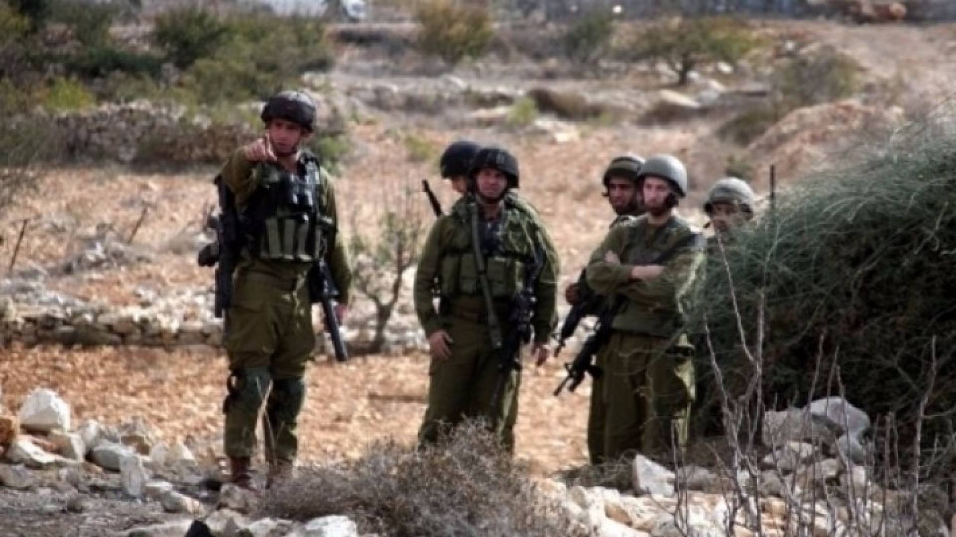 الصورة أرشيفية 