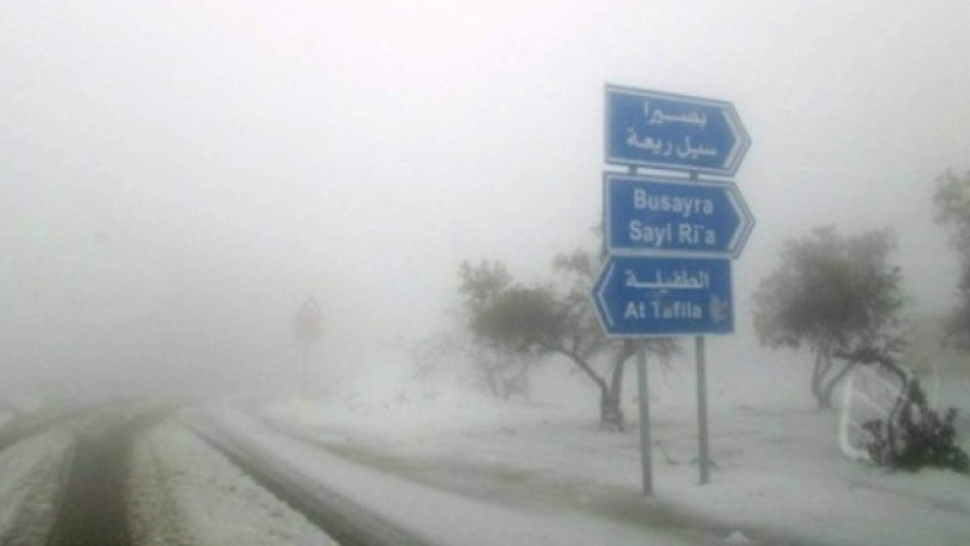 الصورة أرشيفية 