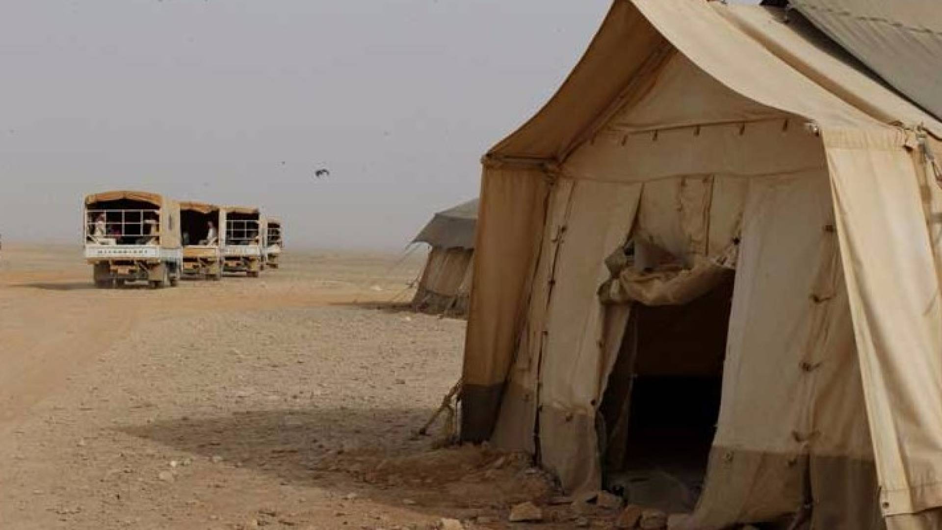 الصورة أرشيفية 