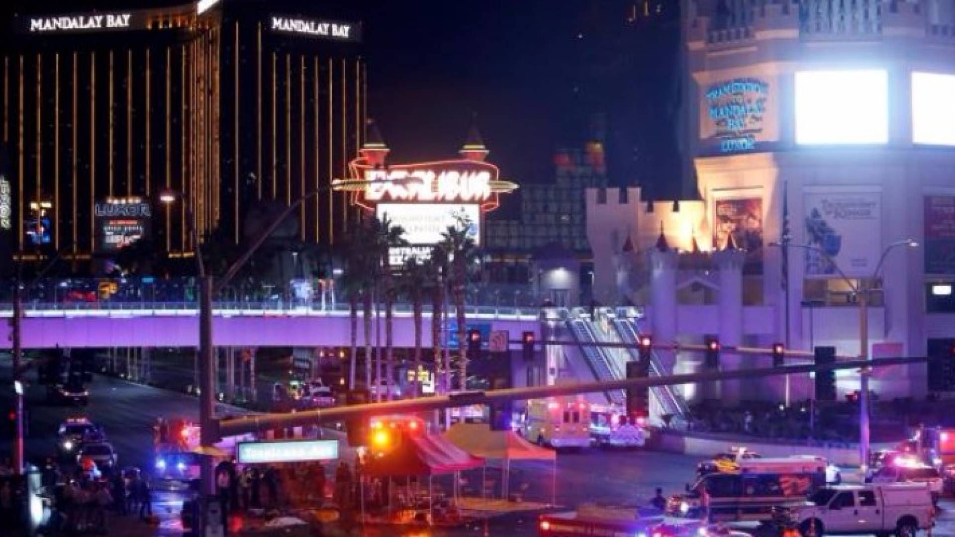 من موقع الحادثة