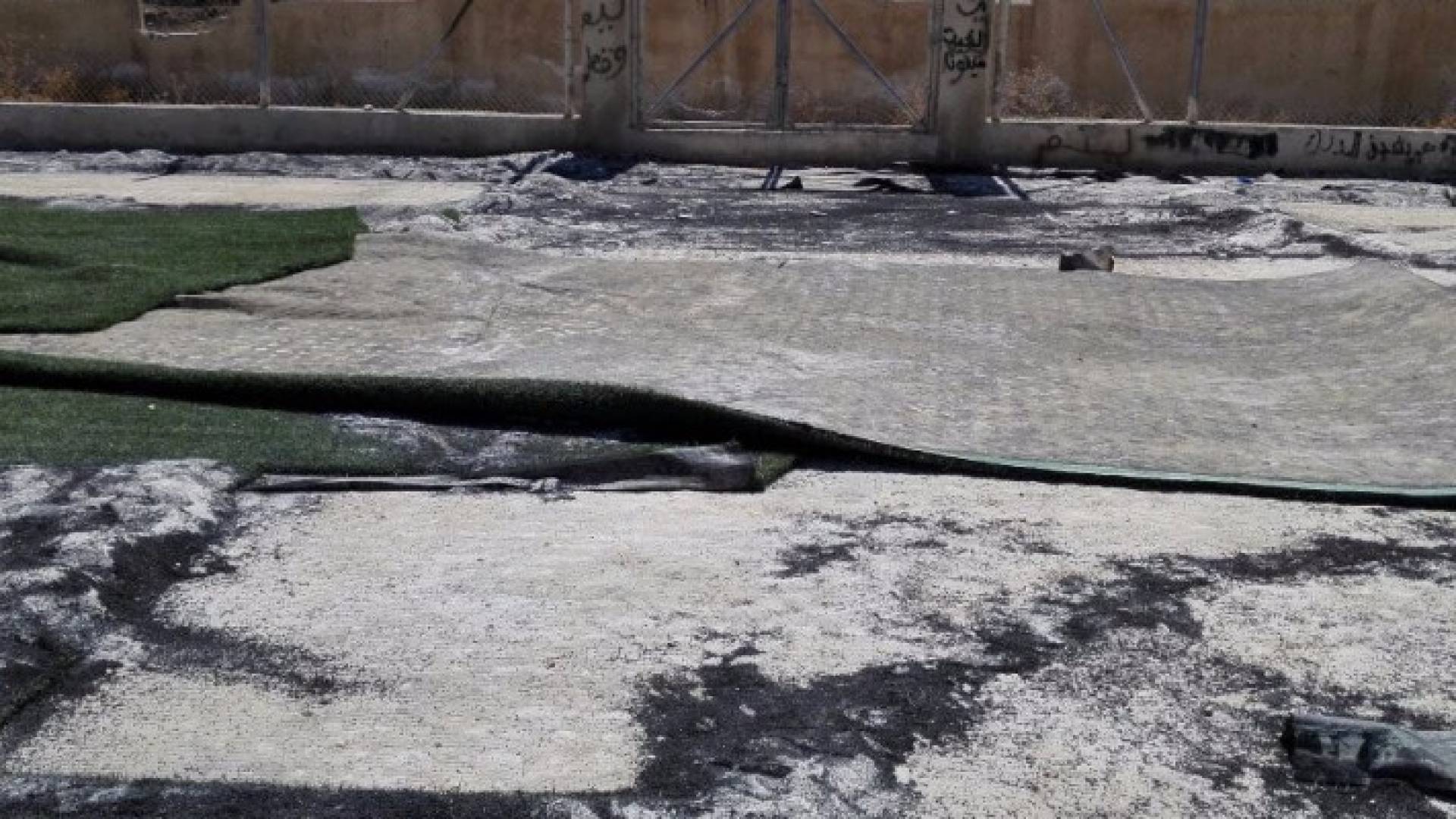 النجيل المسروق