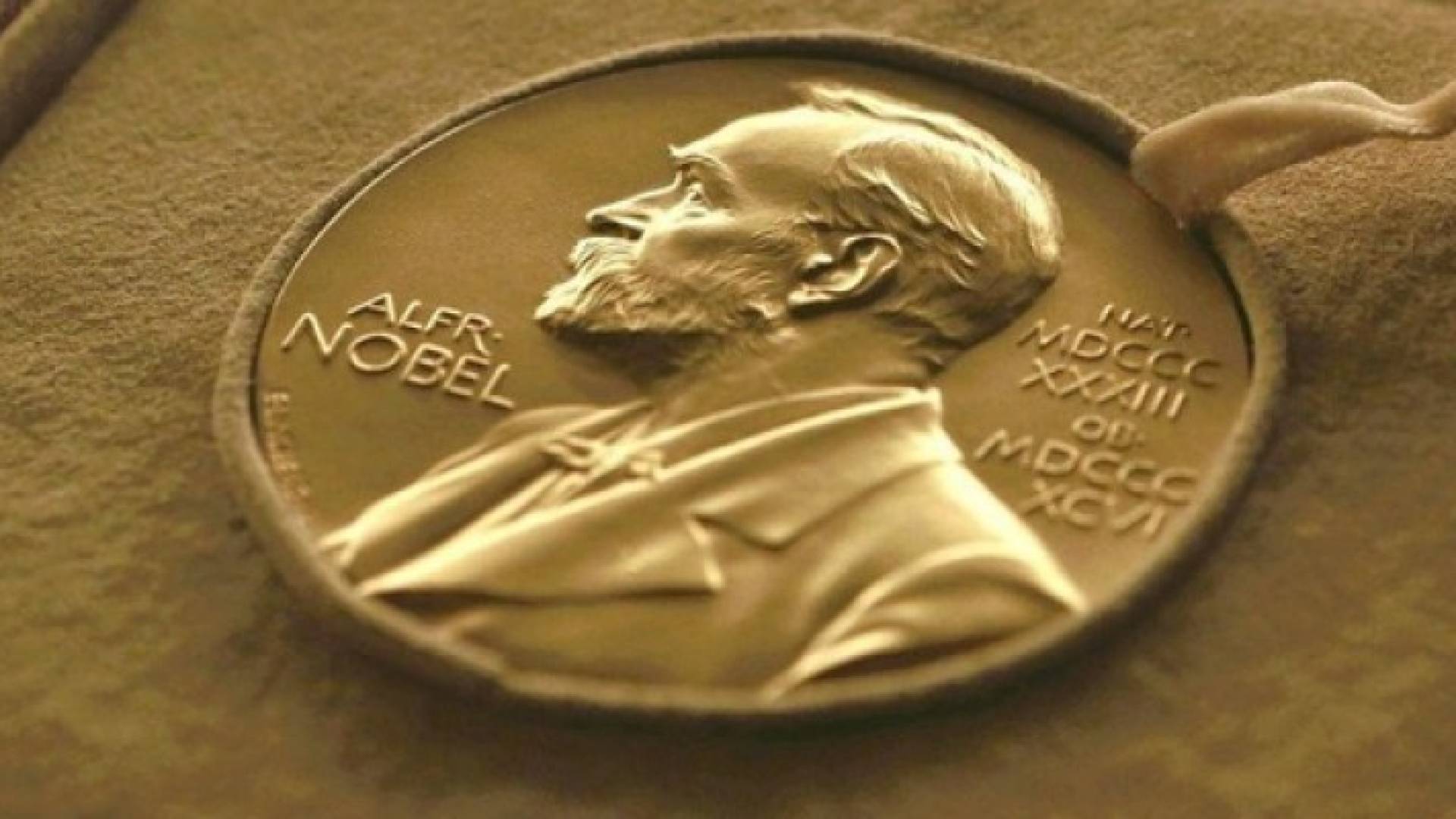 شعار الجائزة