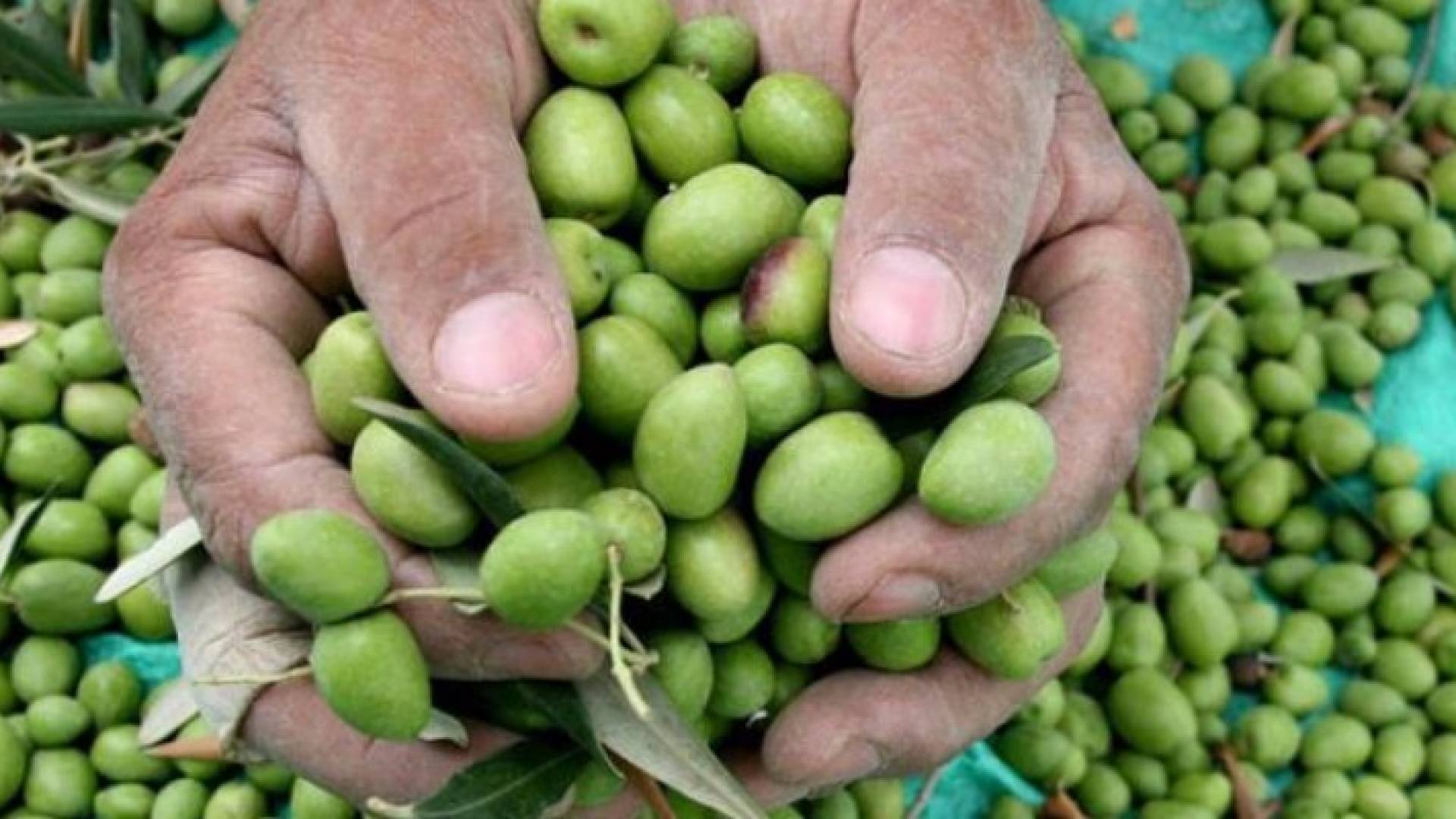الصورة أرشيفية 