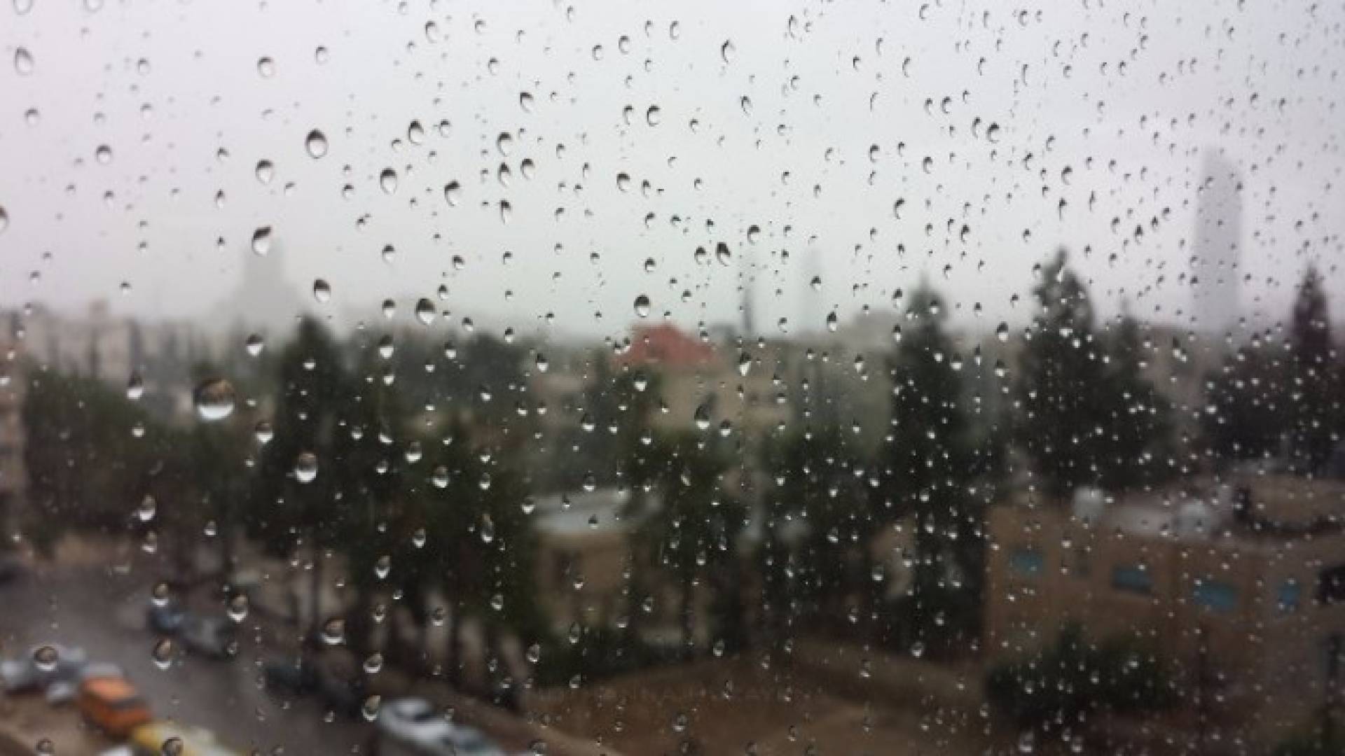 الصورة أرشيفية 