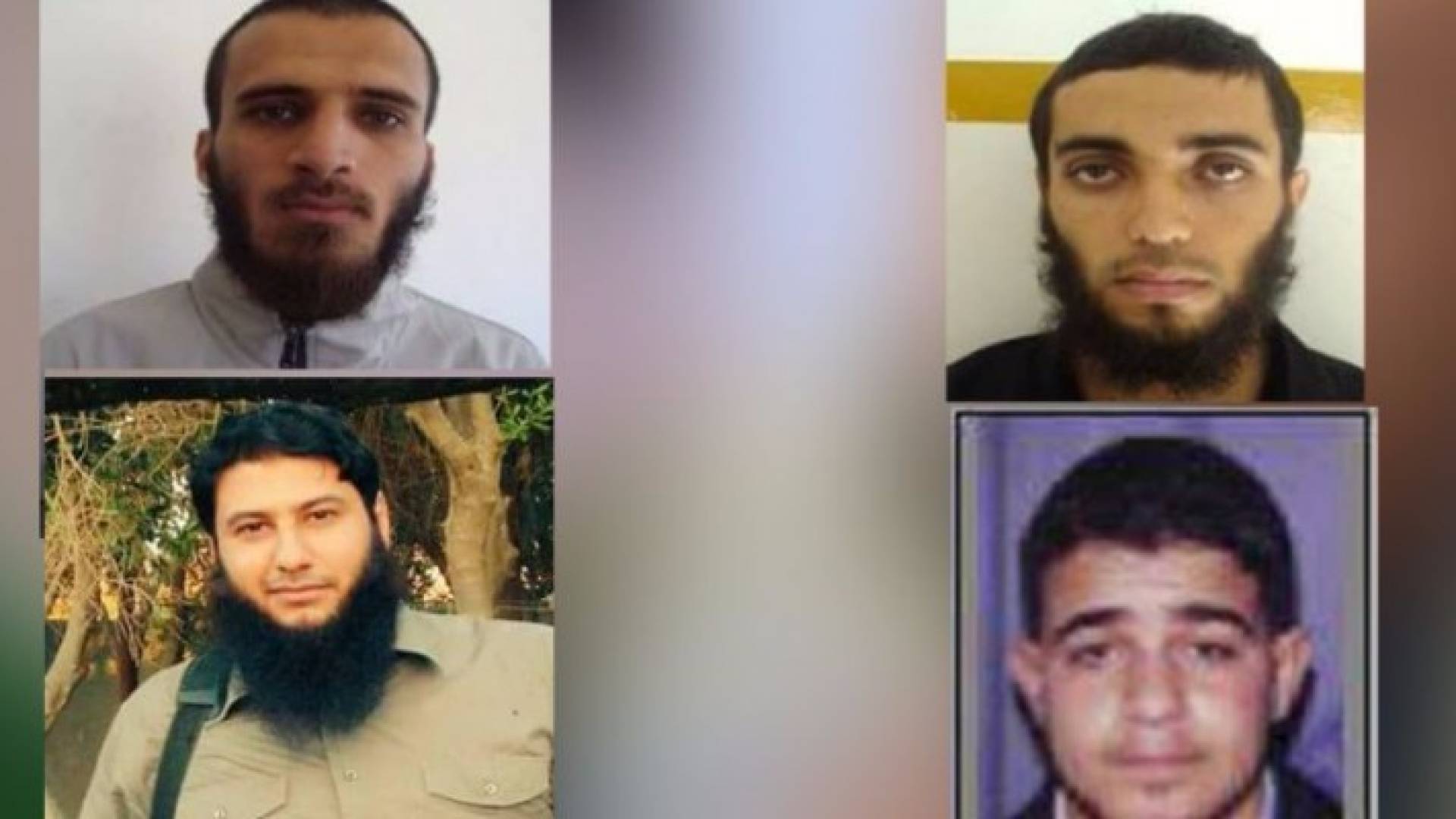 الأمن الداخلي في غزة يعتقل 4 "تكفيريين"