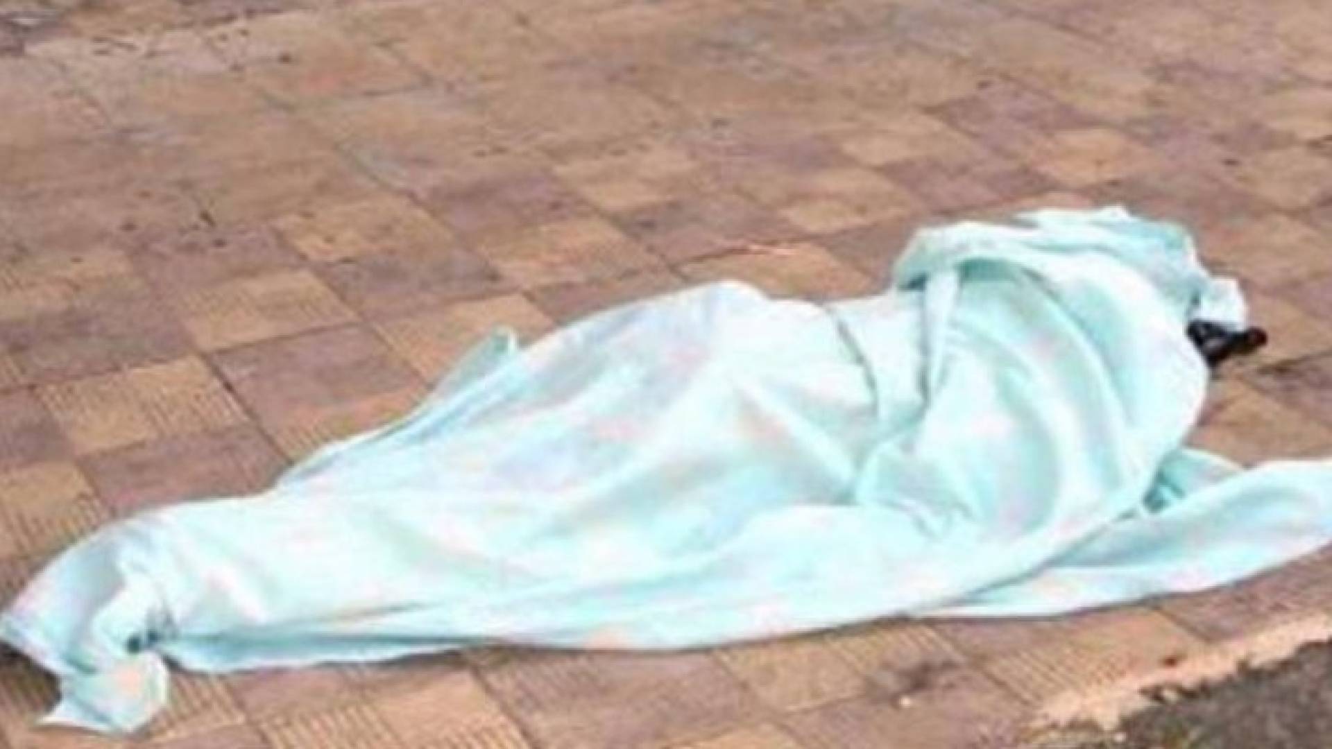 ارشيفية
