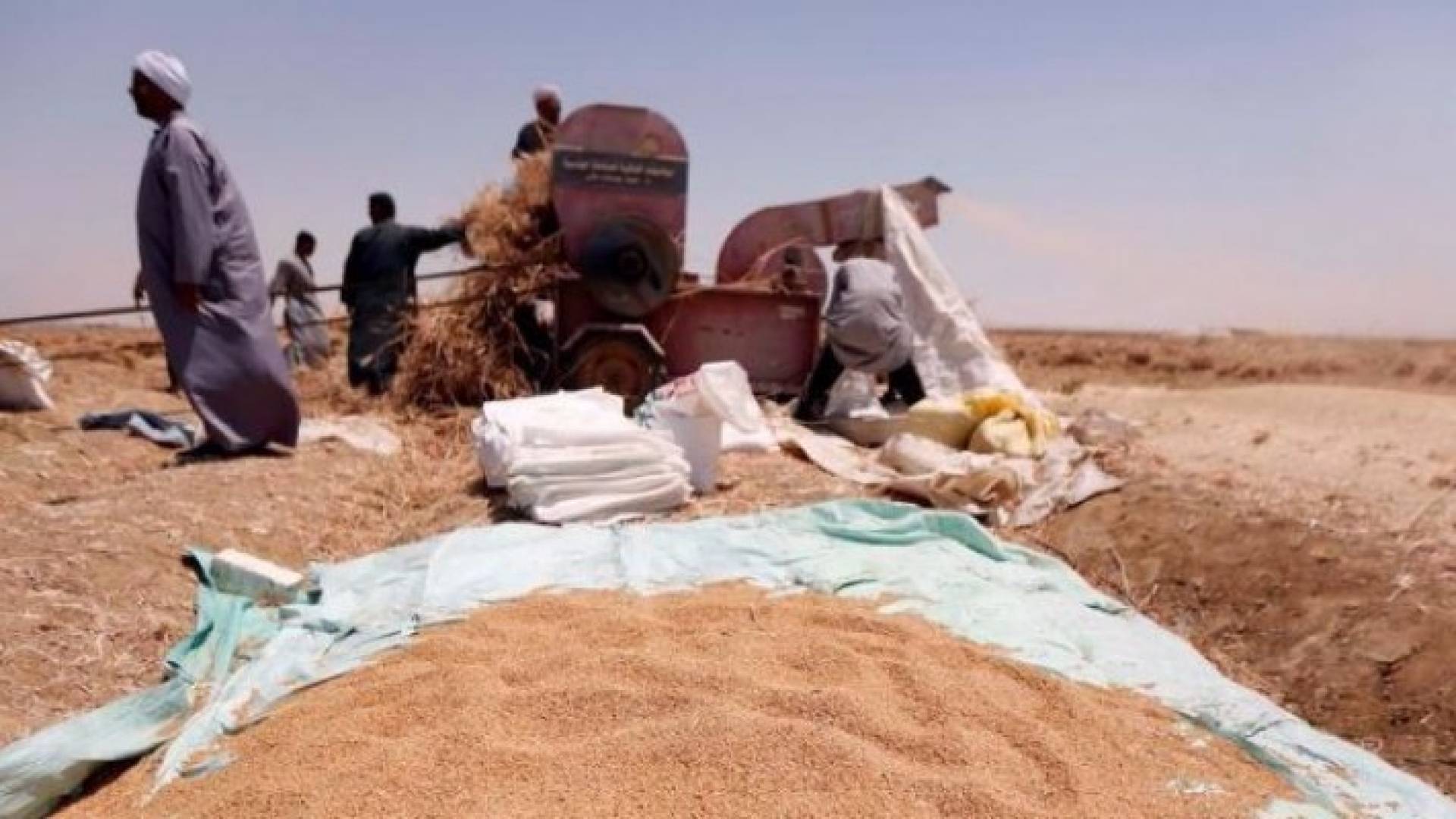 الصورة أرشيفية 