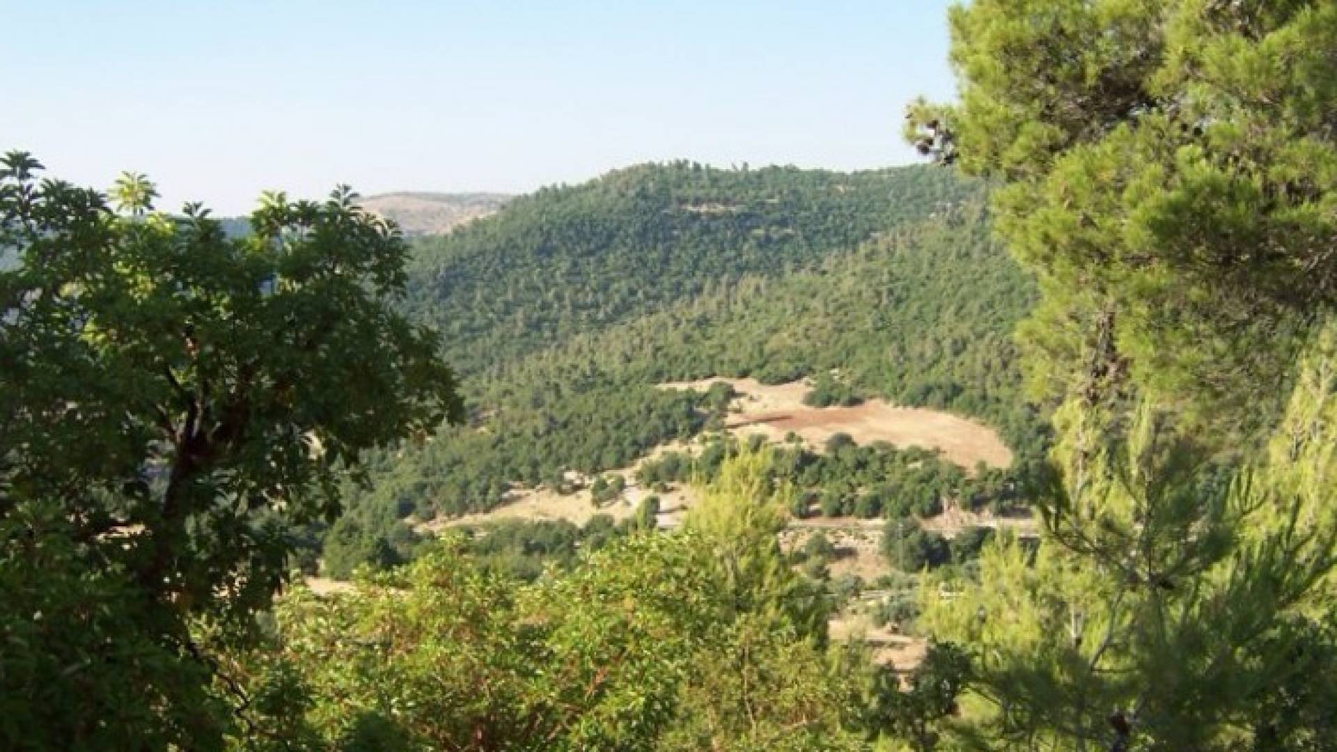 تعبيرية