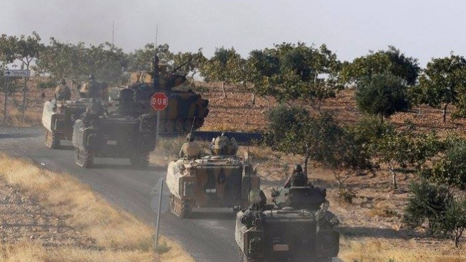 ارشيفية