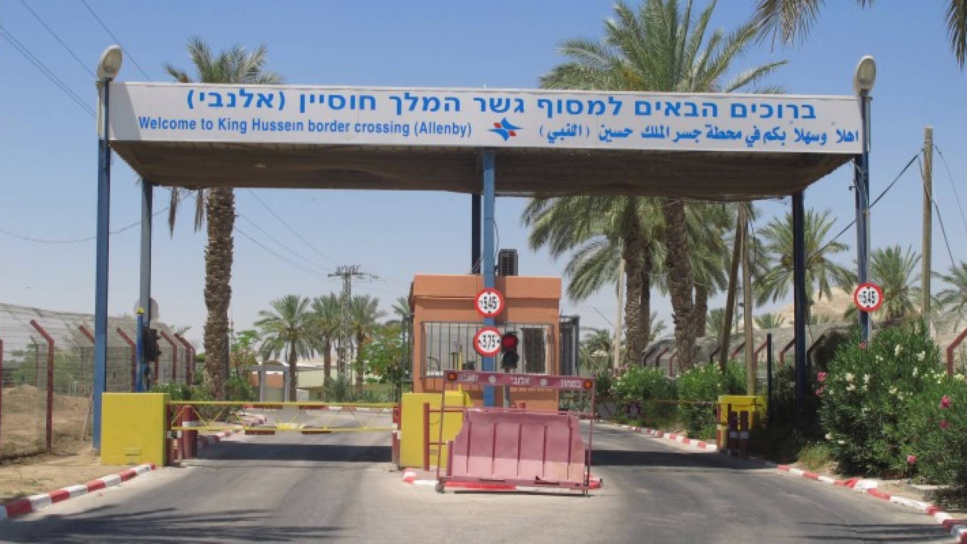 ارشيفية