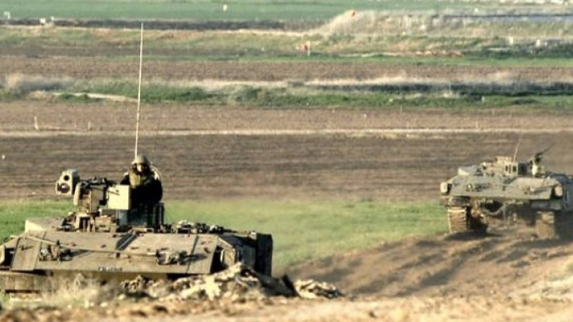 ارشيفية
