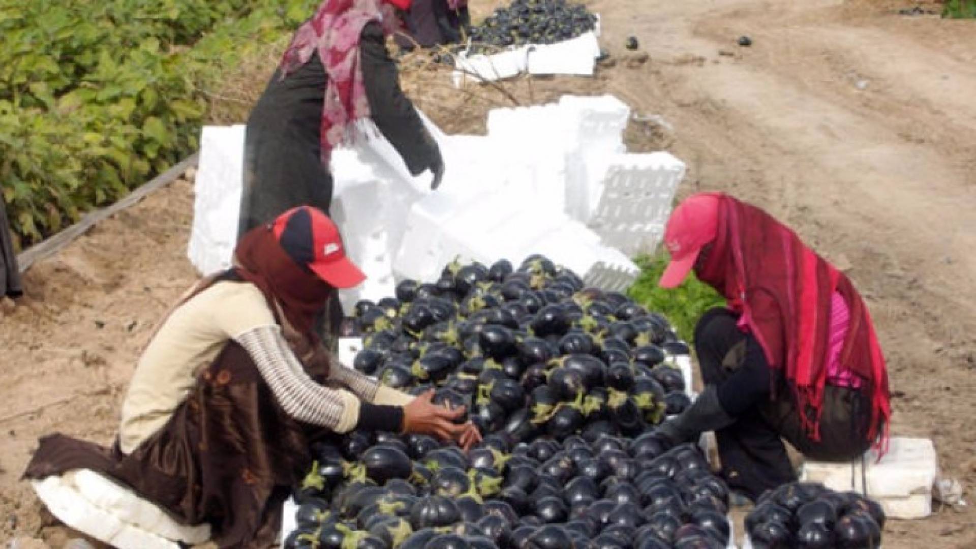 الصورة أرشيفية 