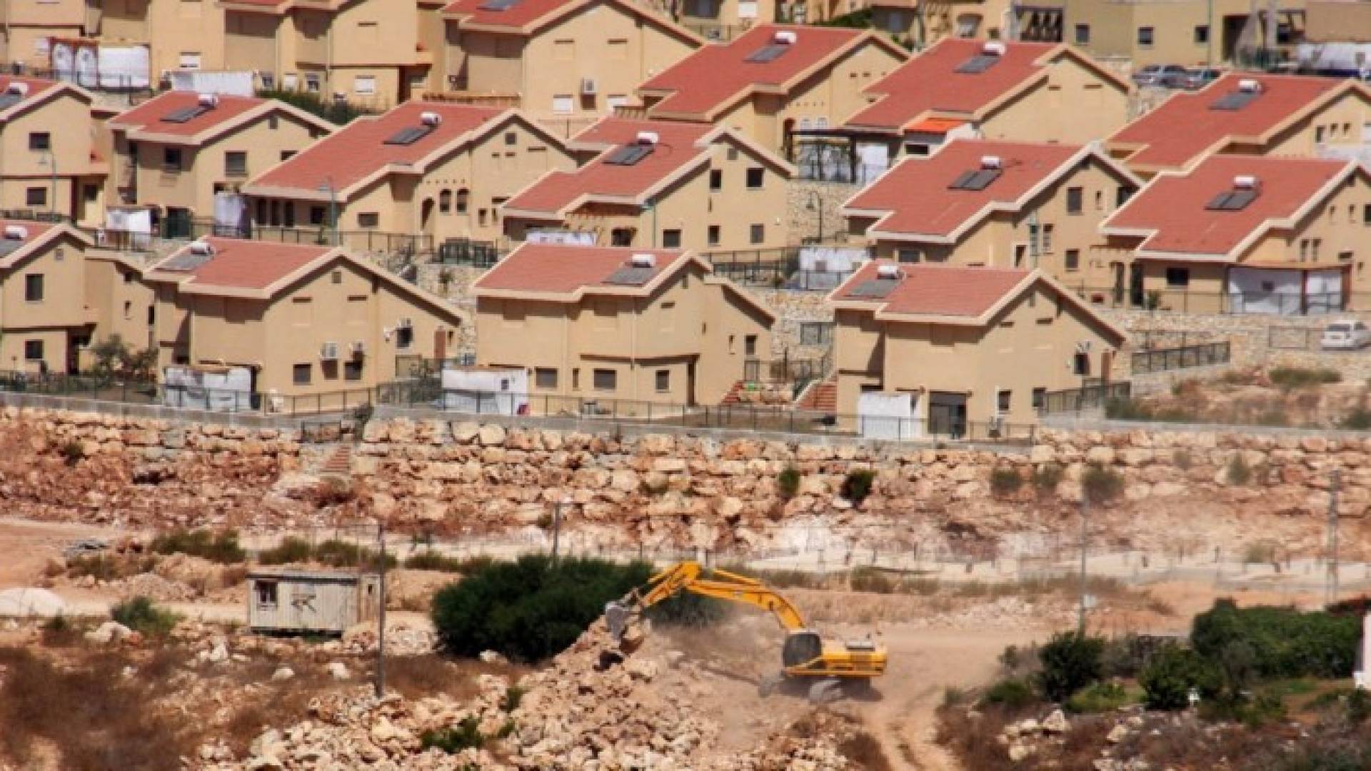 ارشيفية