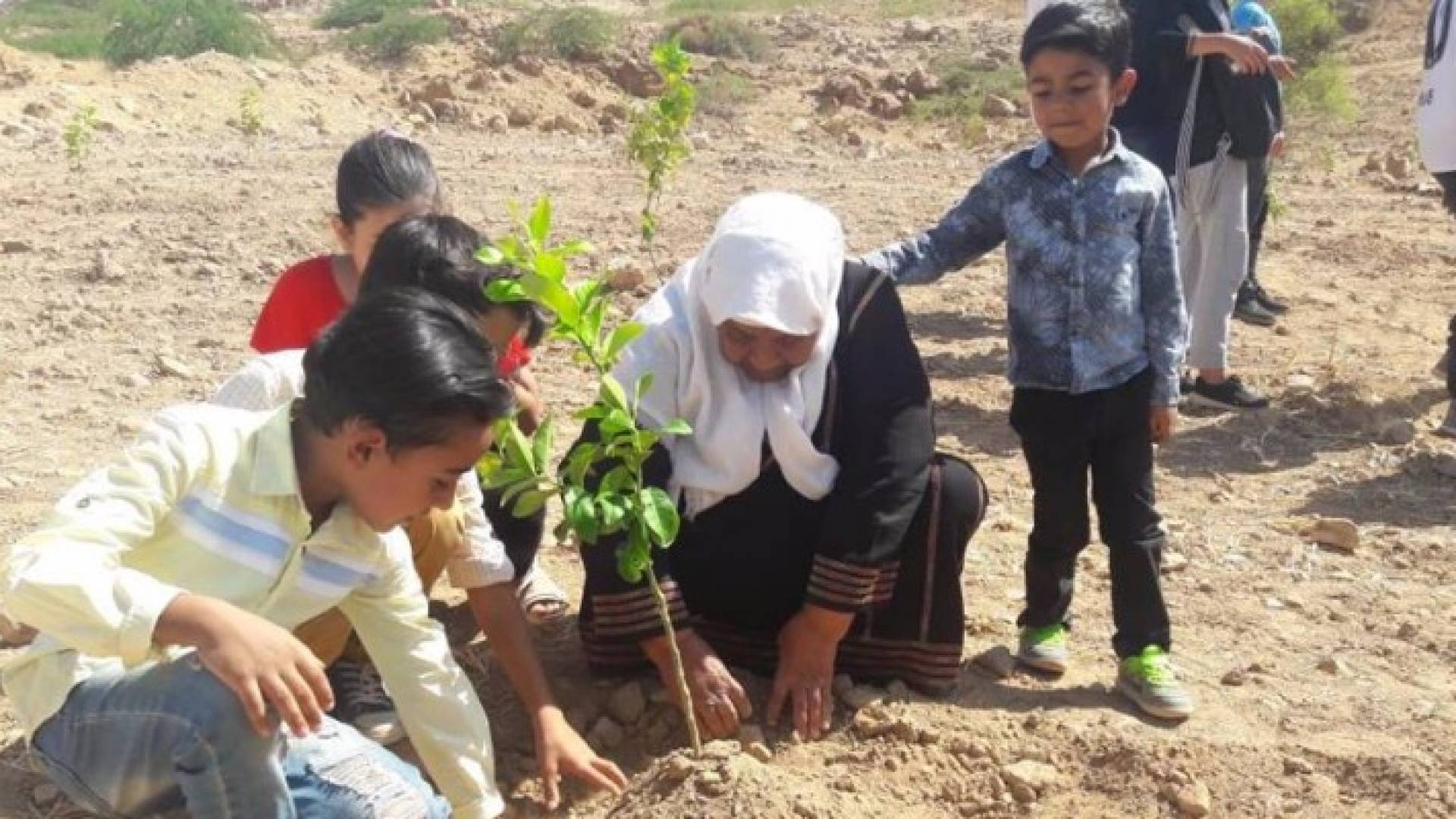 زراعة 500 شجرة في الأغوار الوسطى بدعم من دهانات ناشونال