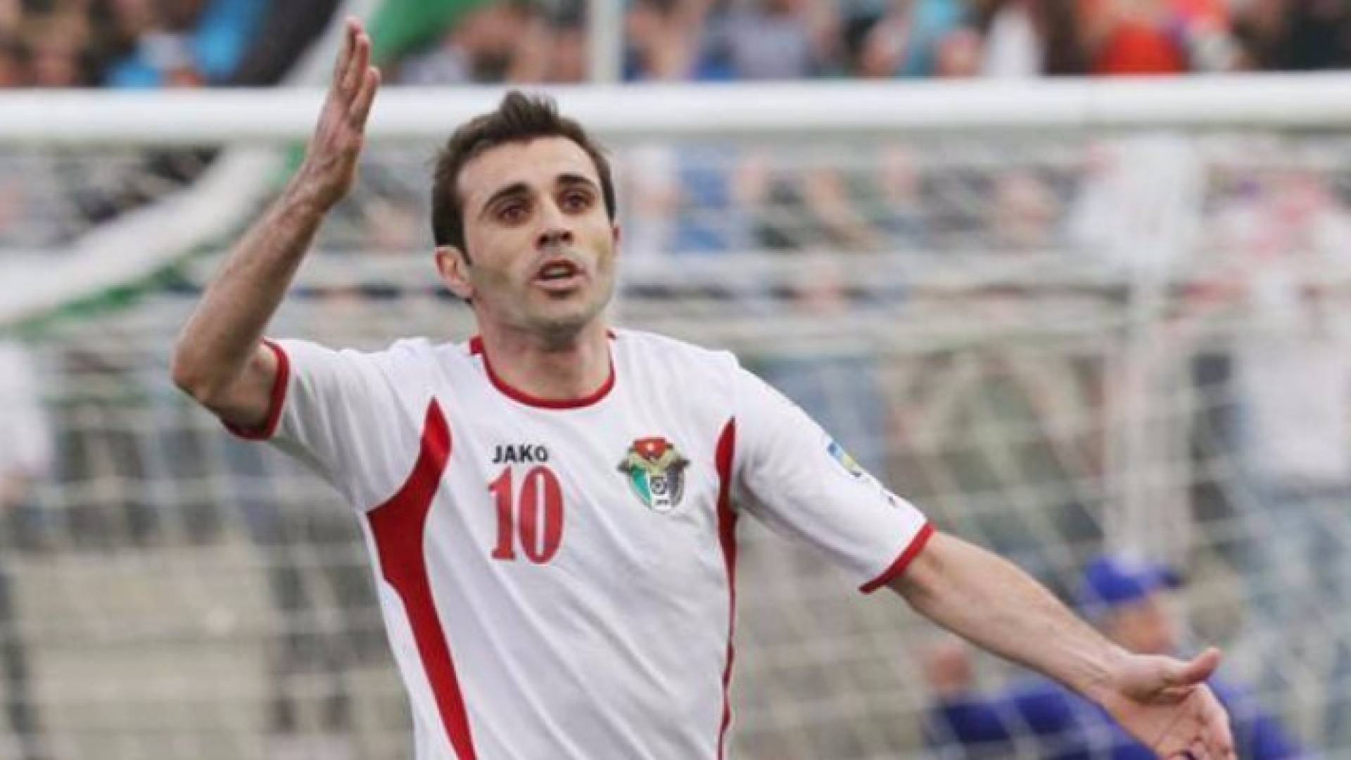 أحمد هايل