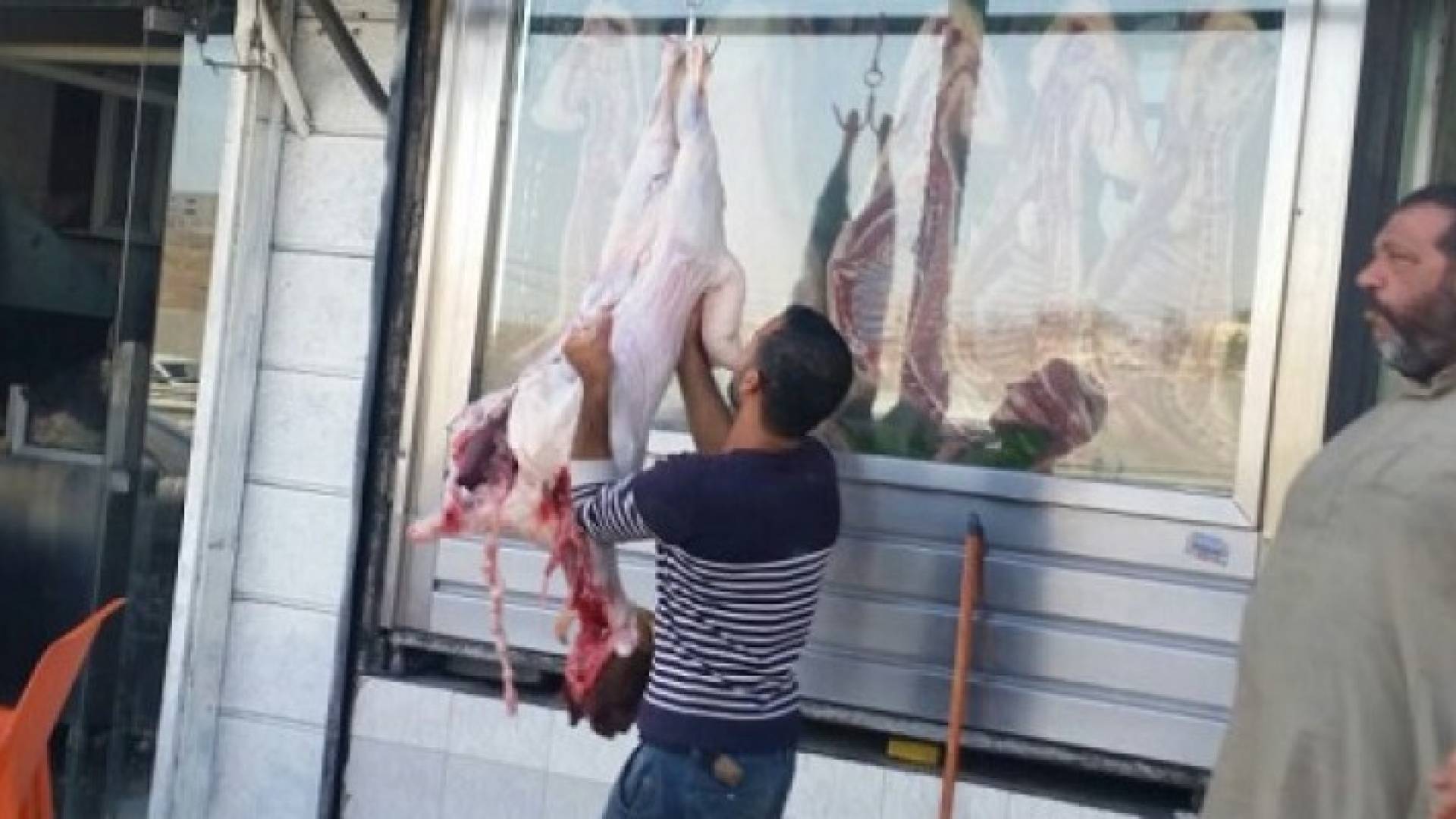 صورة لاحدى الملاحم