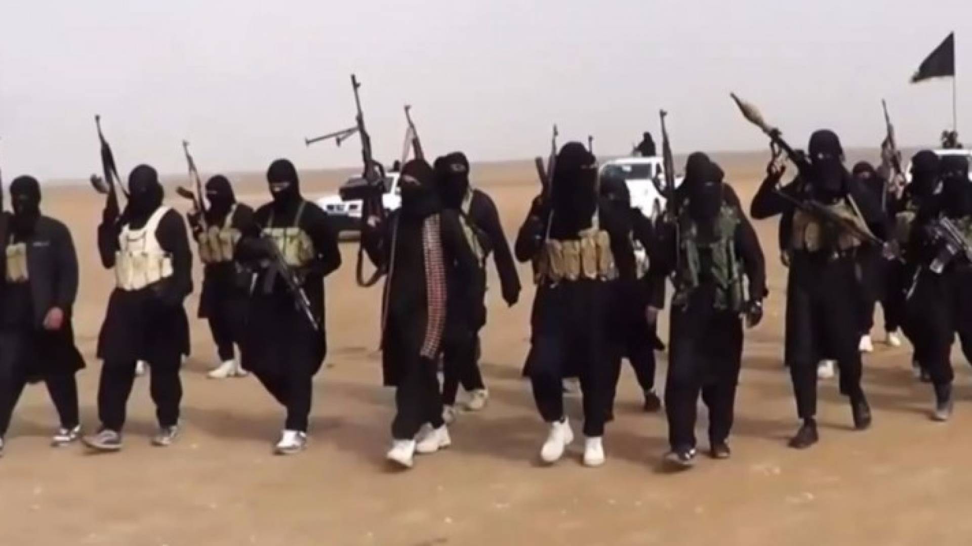 ارشيفية