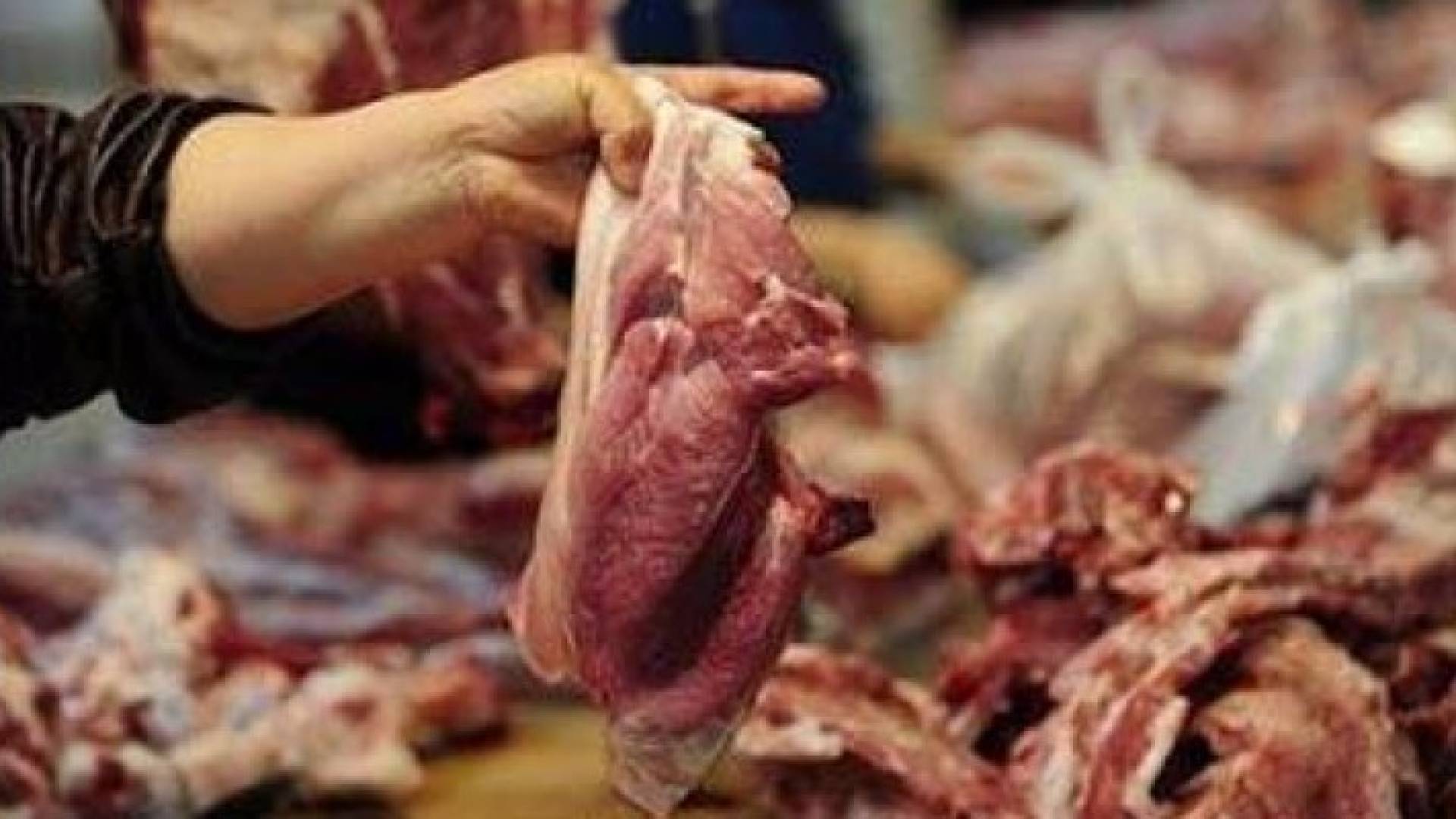ارشيفية للحوم غير صالحة للاستهلاك