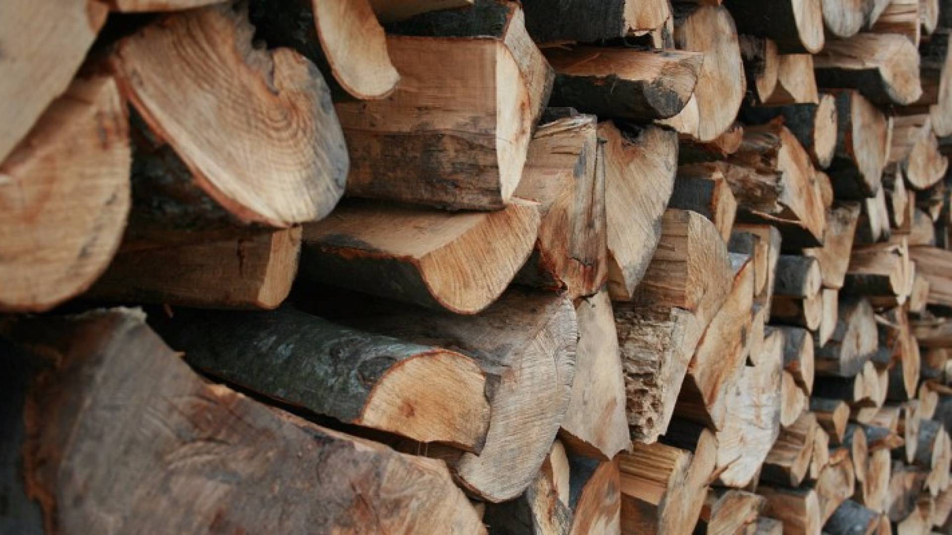 حطب - تعبيرية 