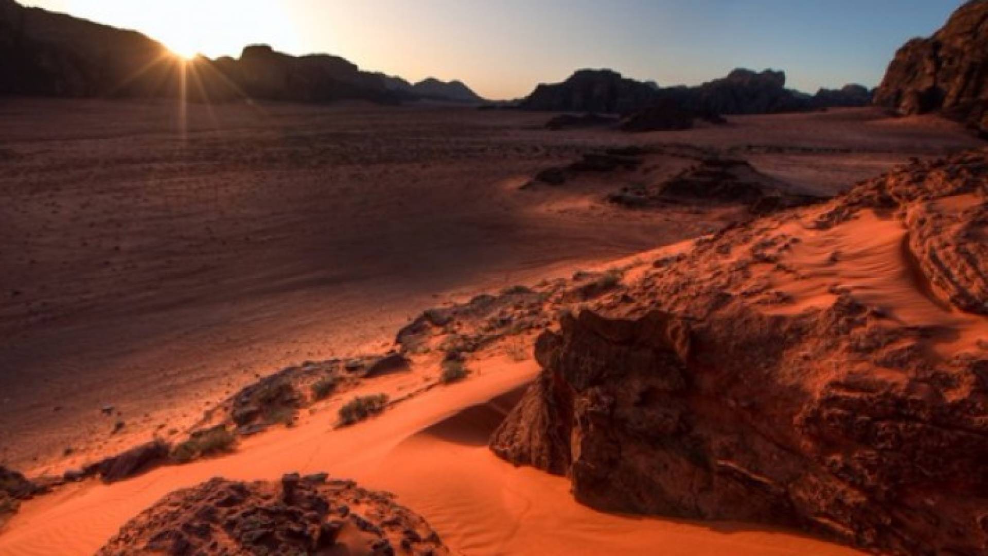 ارشيفية