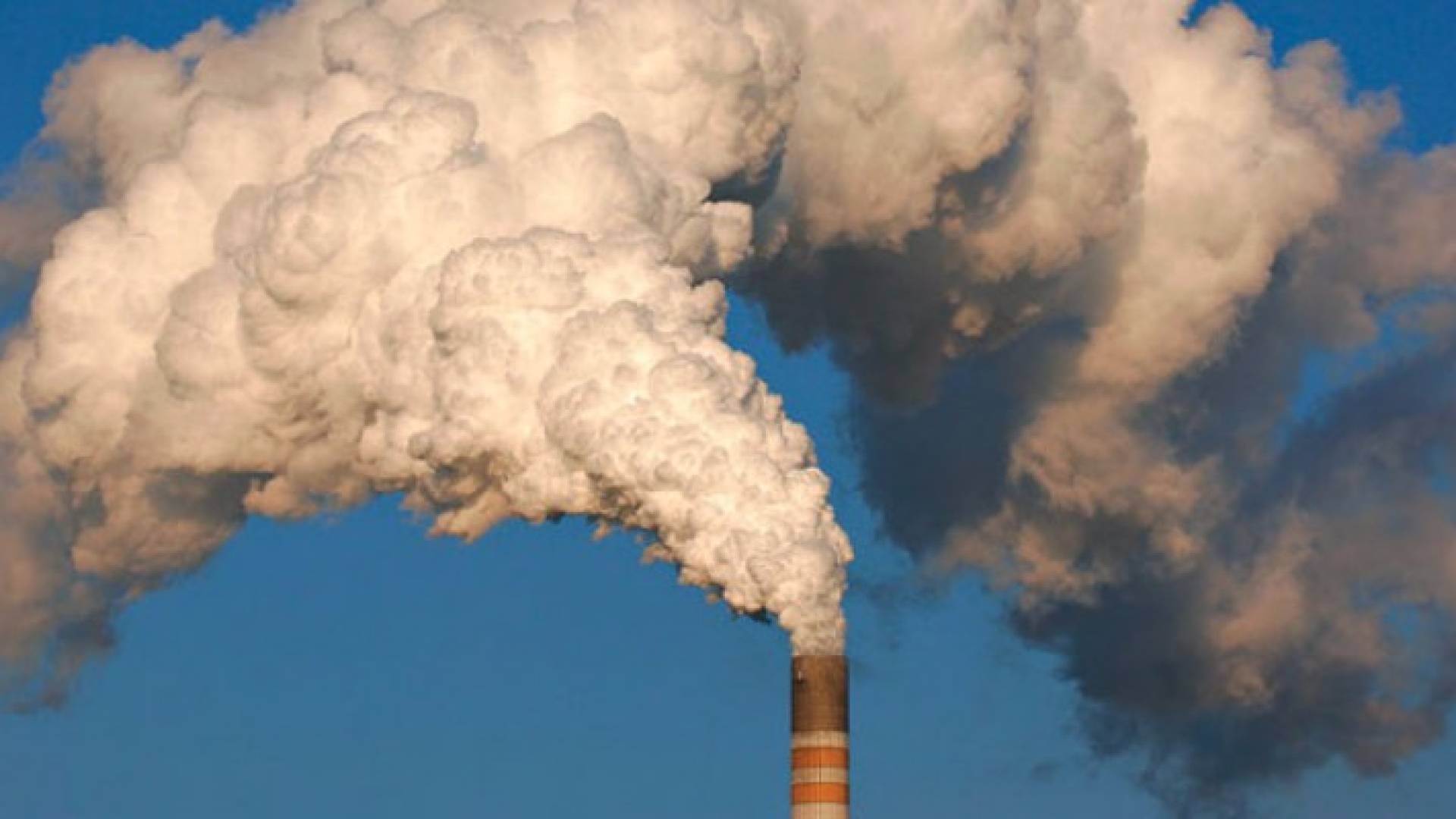 الصورة تعبيرية 