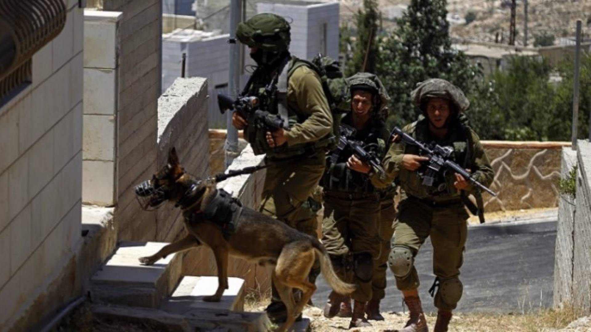 قوات الاحتلال - ارشيفية