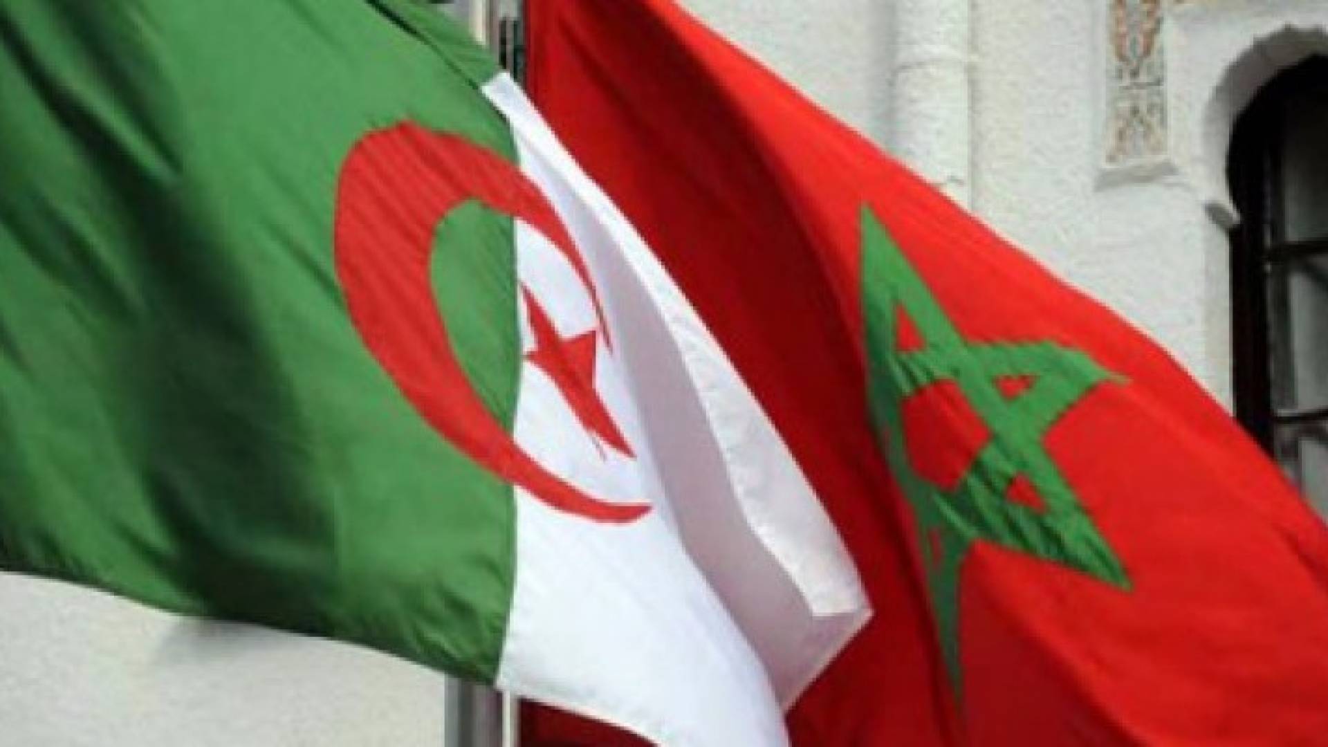 ارشيفية