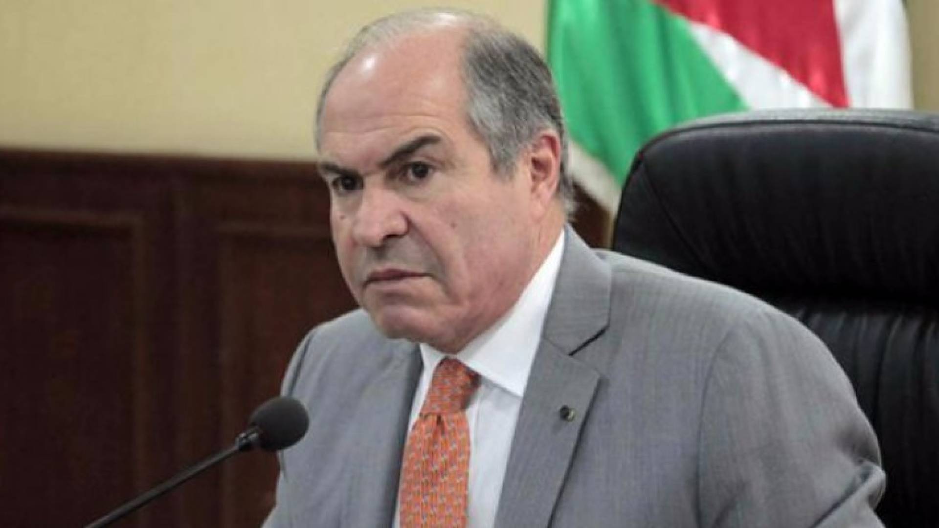 رئيس الوزراء هاني الملقي