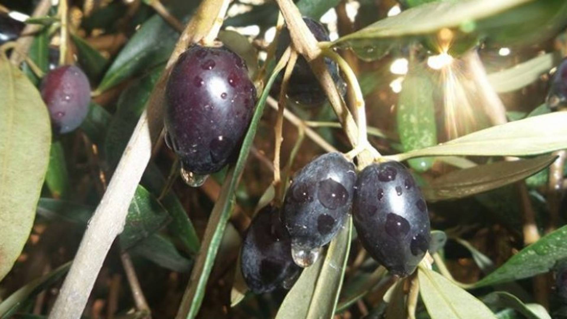 تعبيرية
