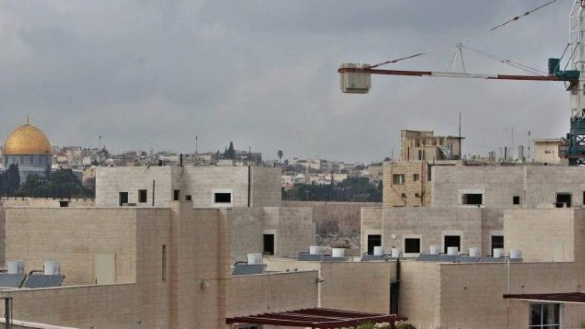 ارشيفية 