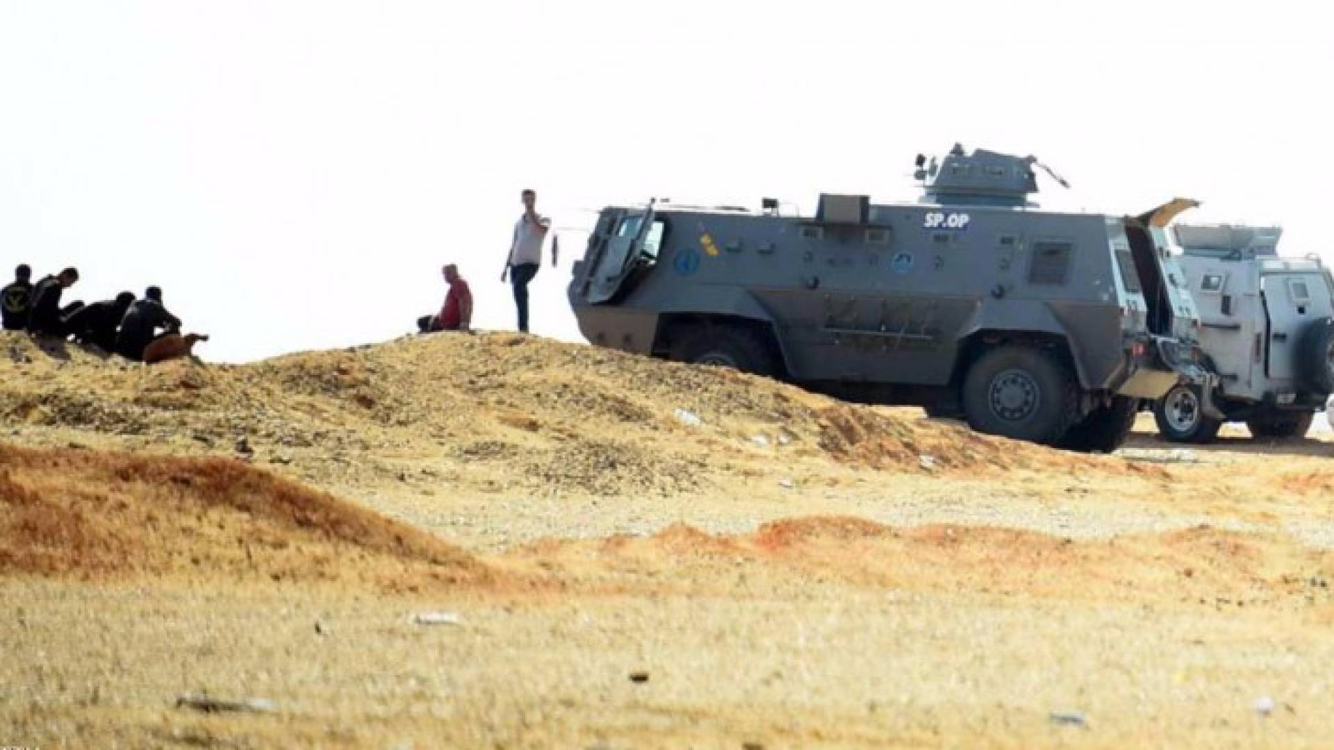 ارشيفية 