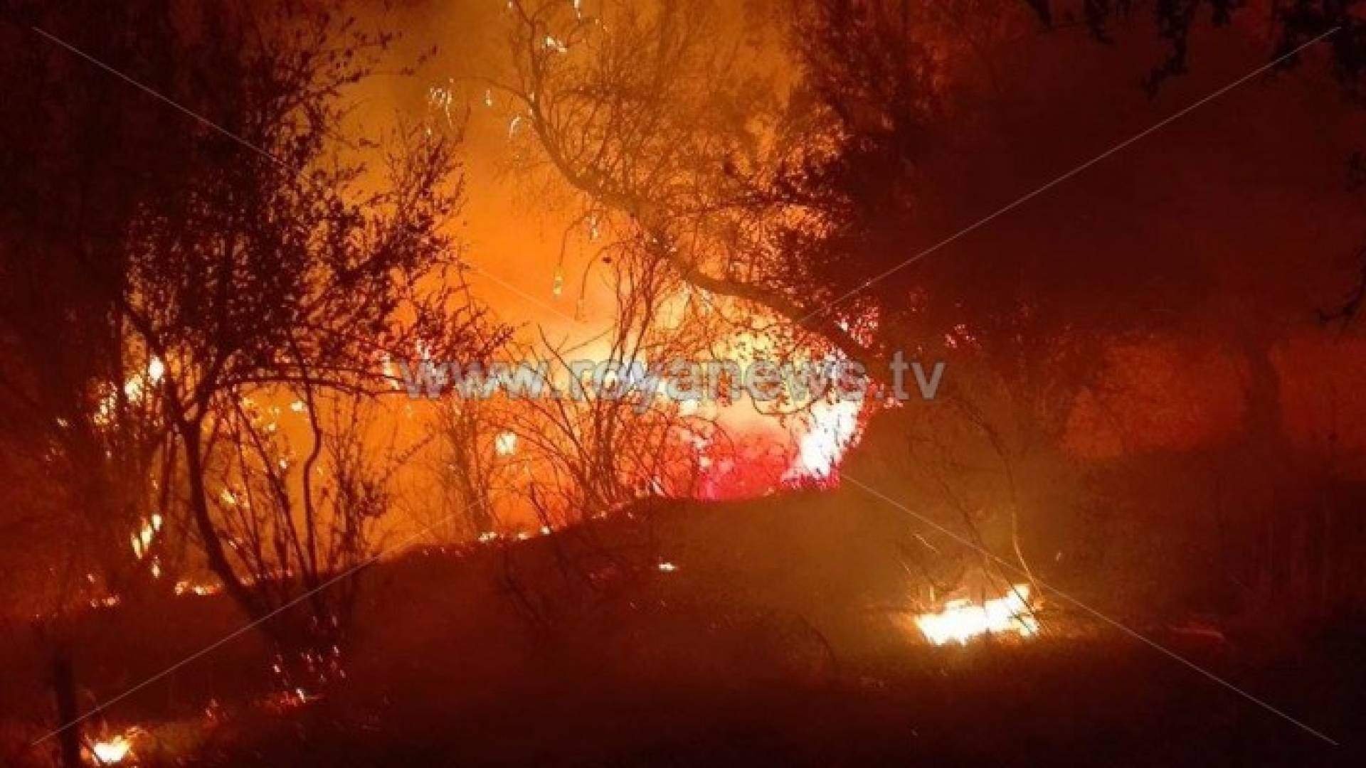 صورة من الحريق