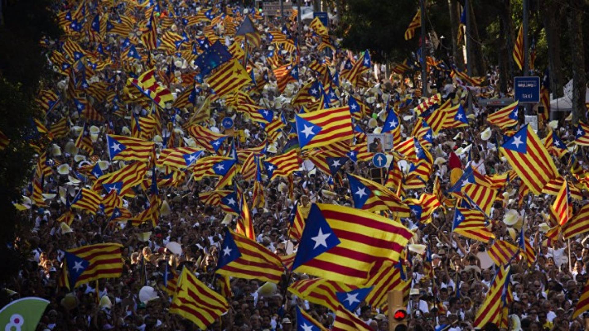 جانب من المظاهرة