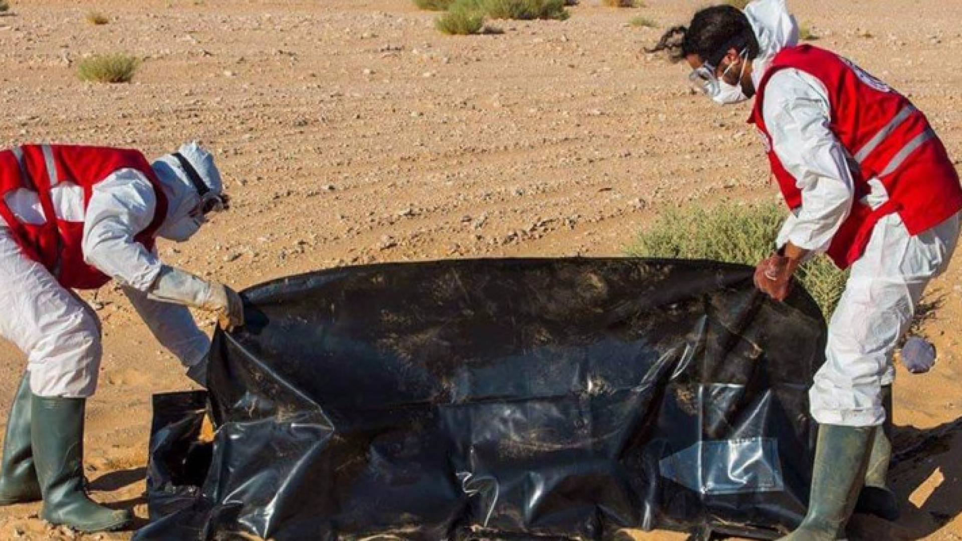 ارشيفية