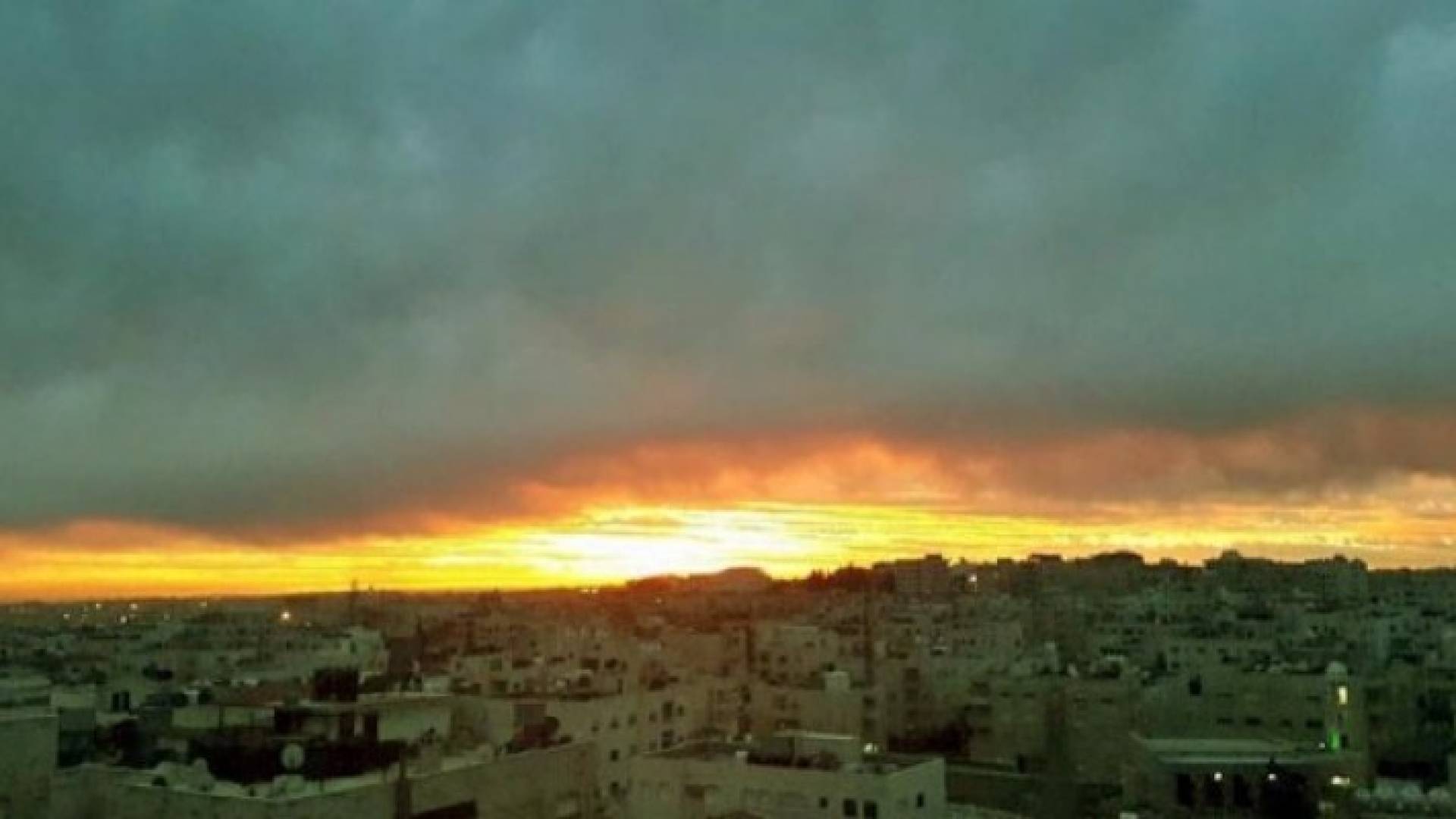 ارشيفية