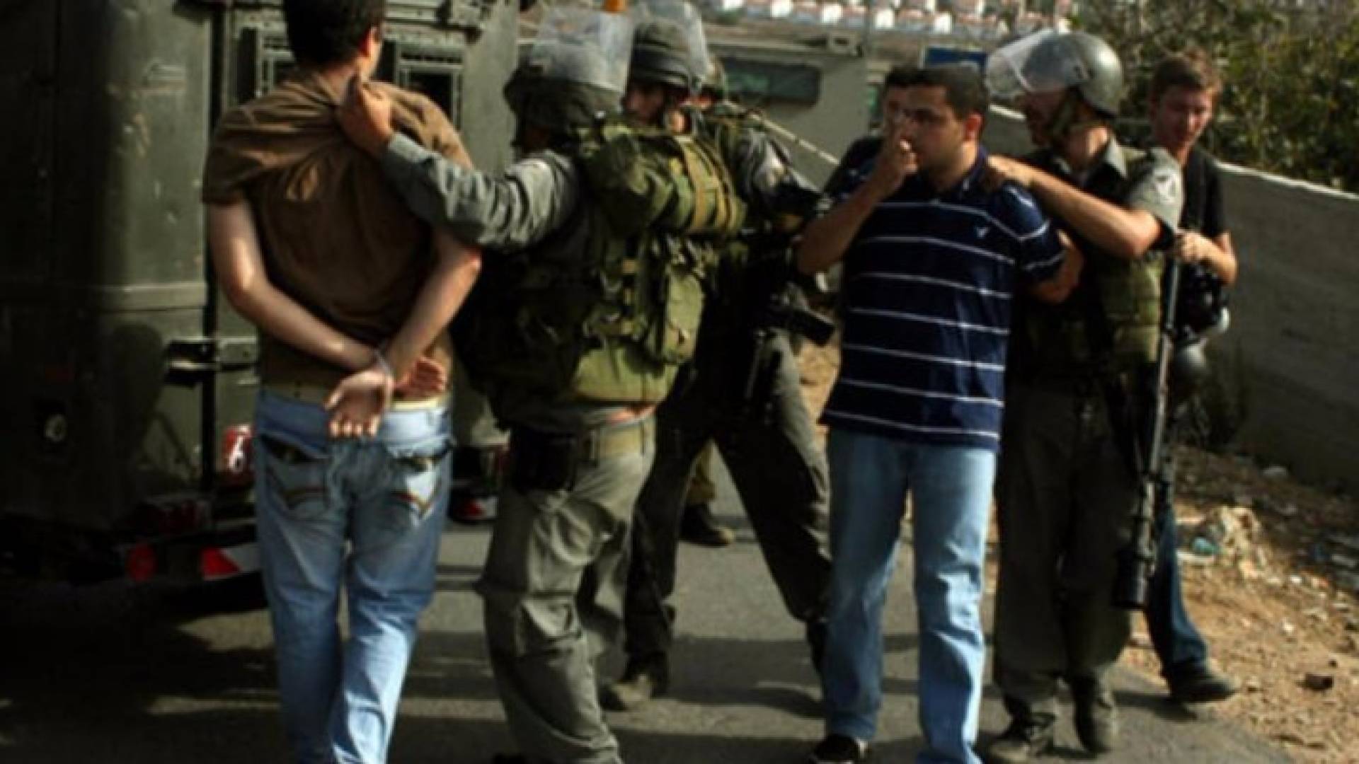 ارشيفية