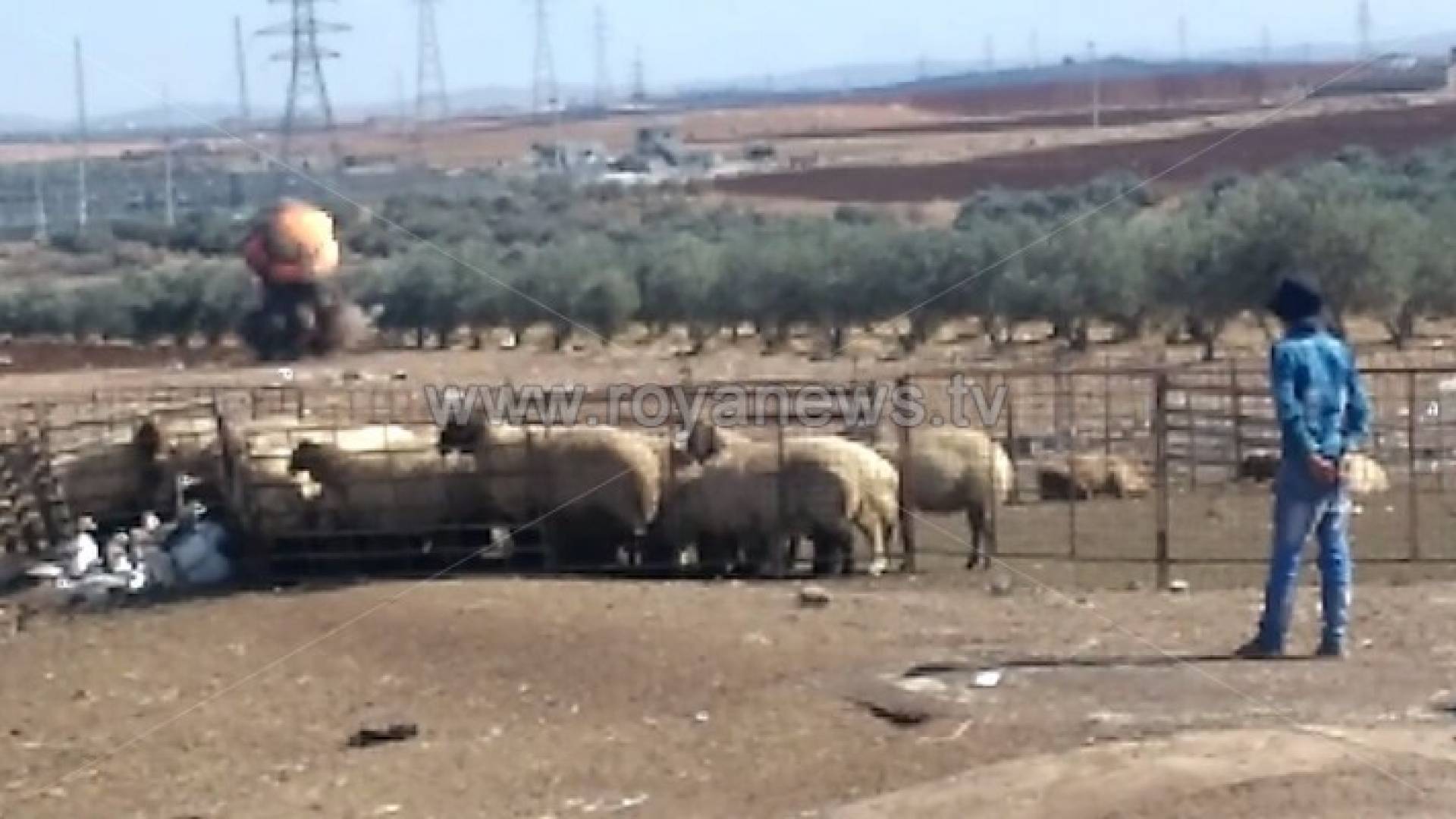 العثور على قنبلة قديمة في اربد