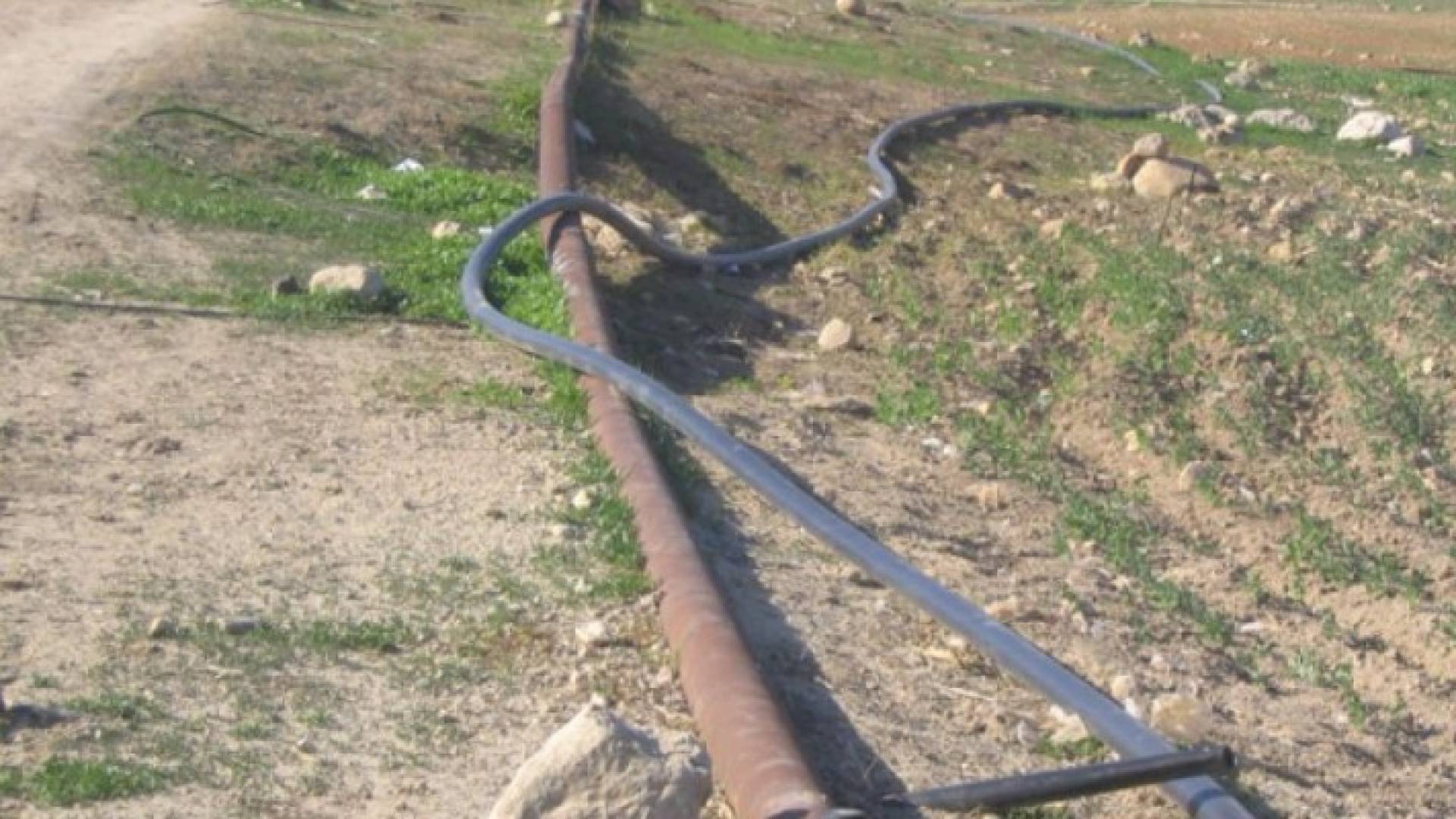 ارشيفية
