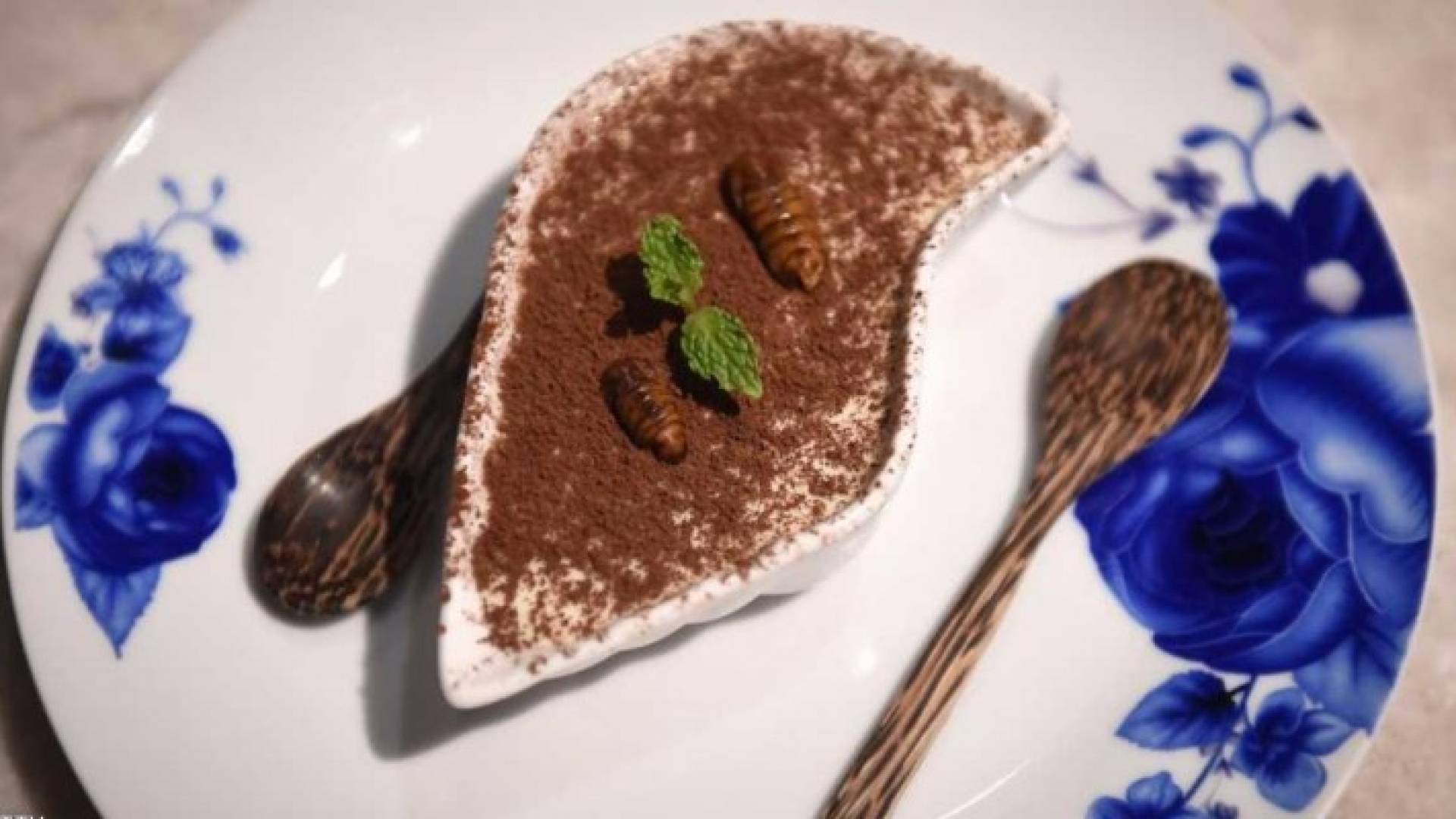 قطعة من التيراميسو