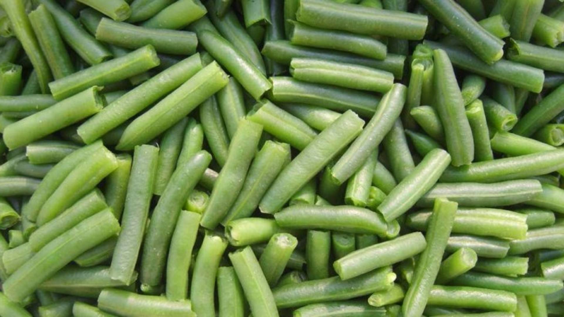ارشيفية