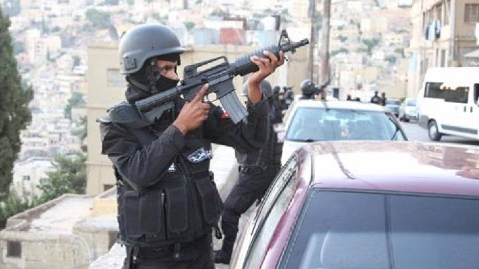 ارشيفية