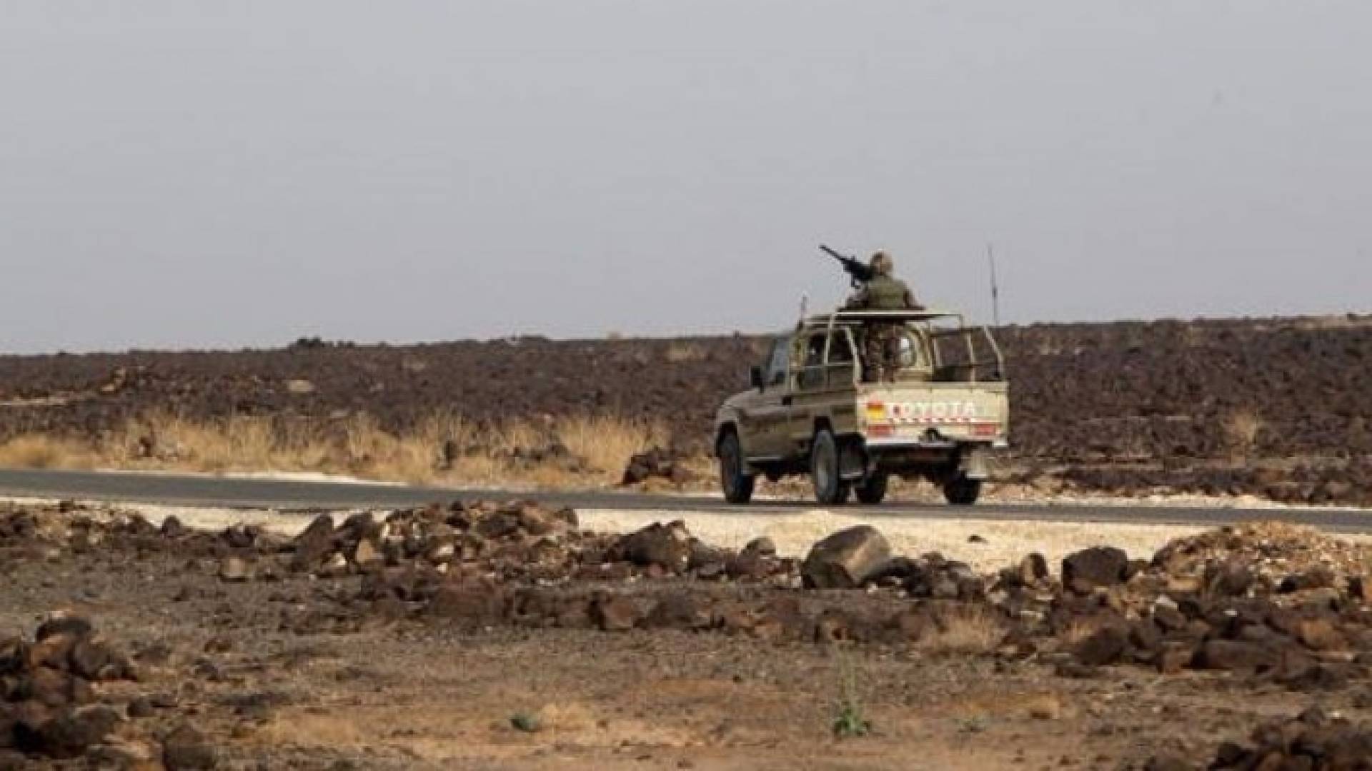 ارشيفية 