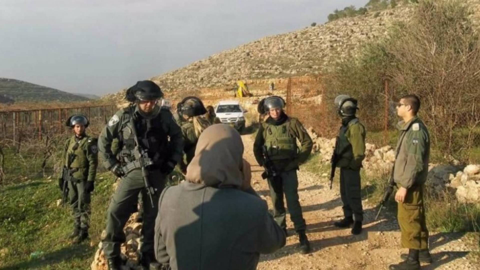 ارشيفية