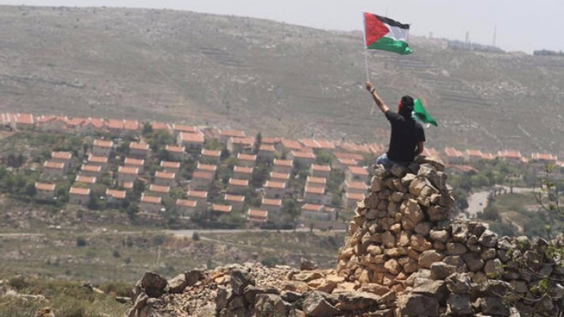 شاب يلوح بالعلم الفلسطيني أمام مستوطنات إسرائيلية- أرشيفية 