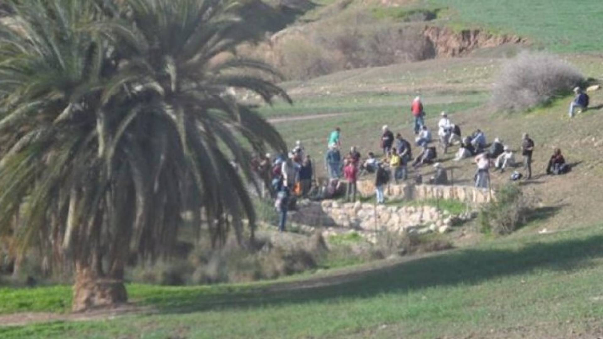 ارشيفية