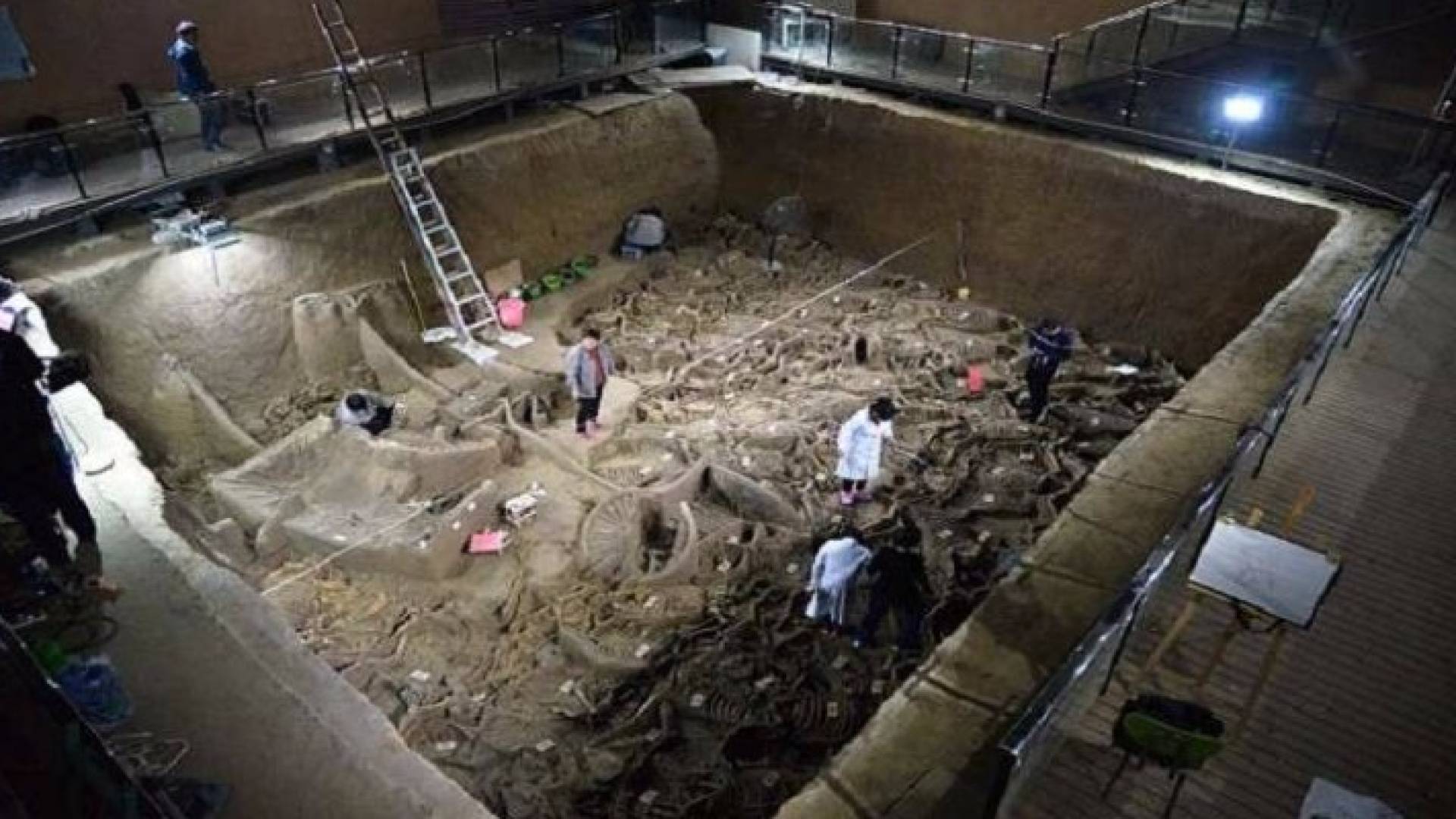 اكتشاف مقبرة ملكية أثرية سكانها ليسوا بشرا