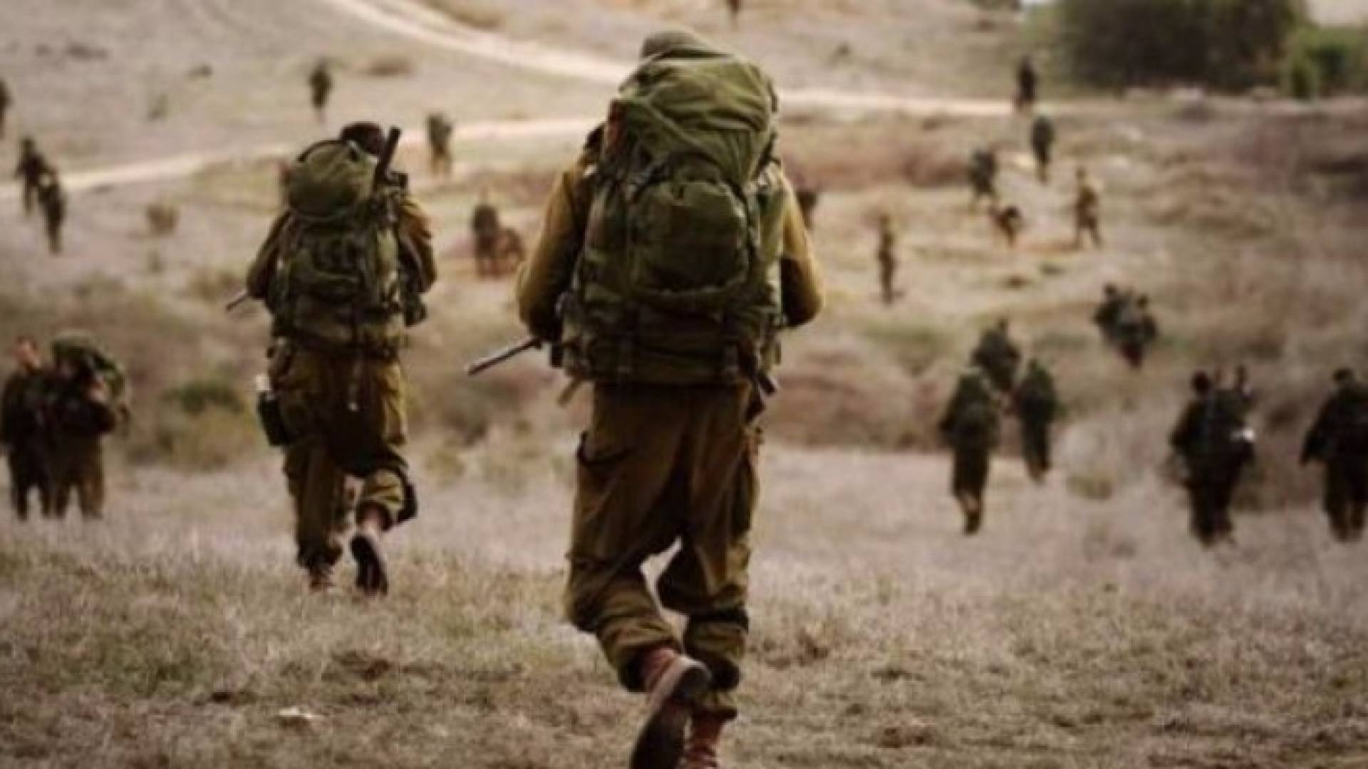 ارشيفية
