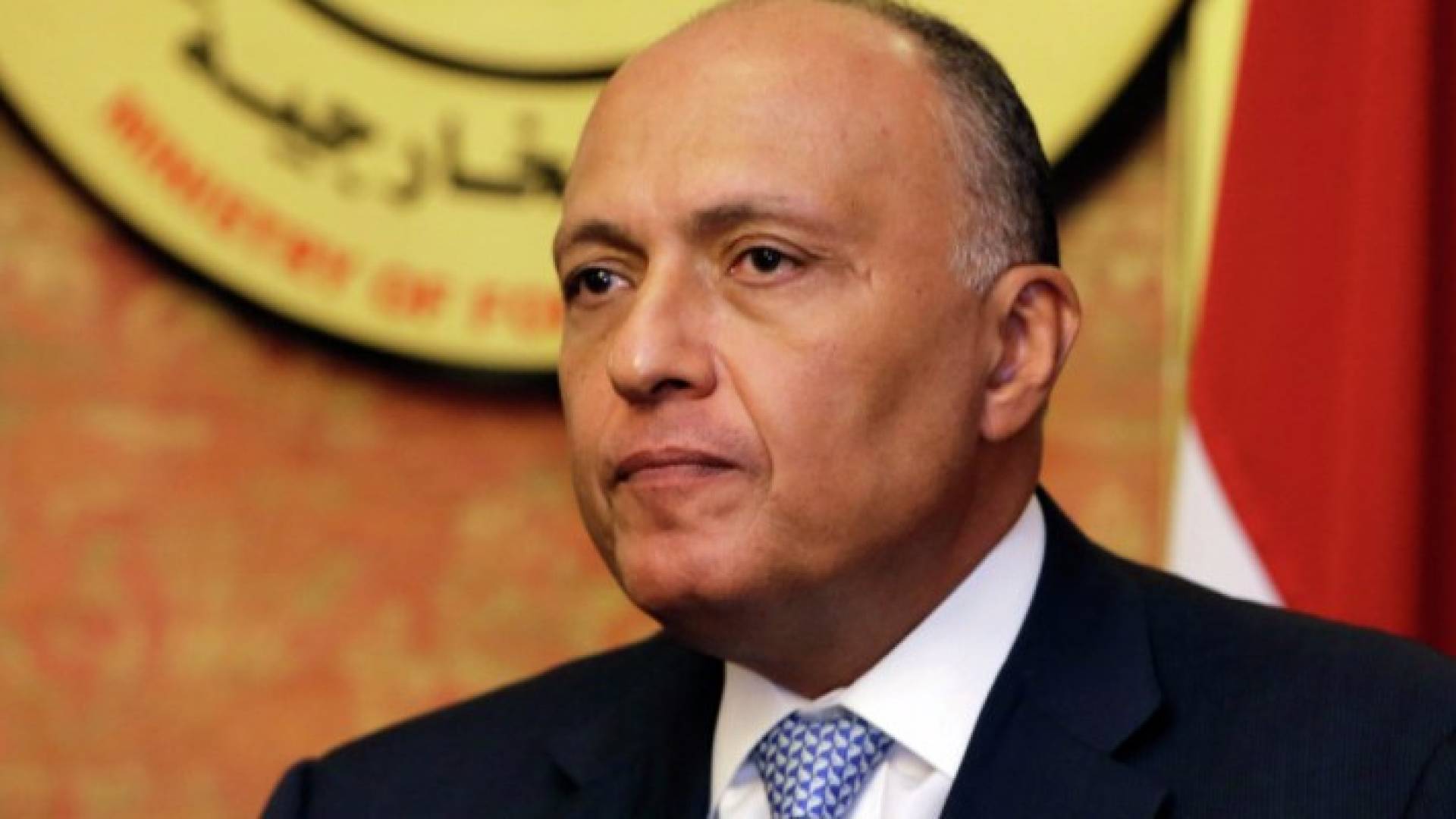 وزير الخارجية المصري سامح شكري